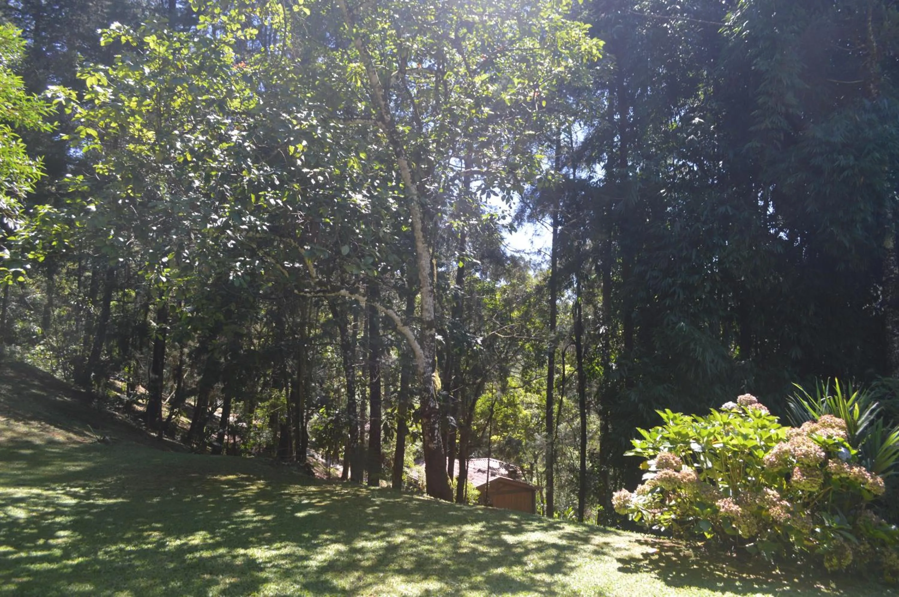 Garden in Pousada Refúgio das Aves