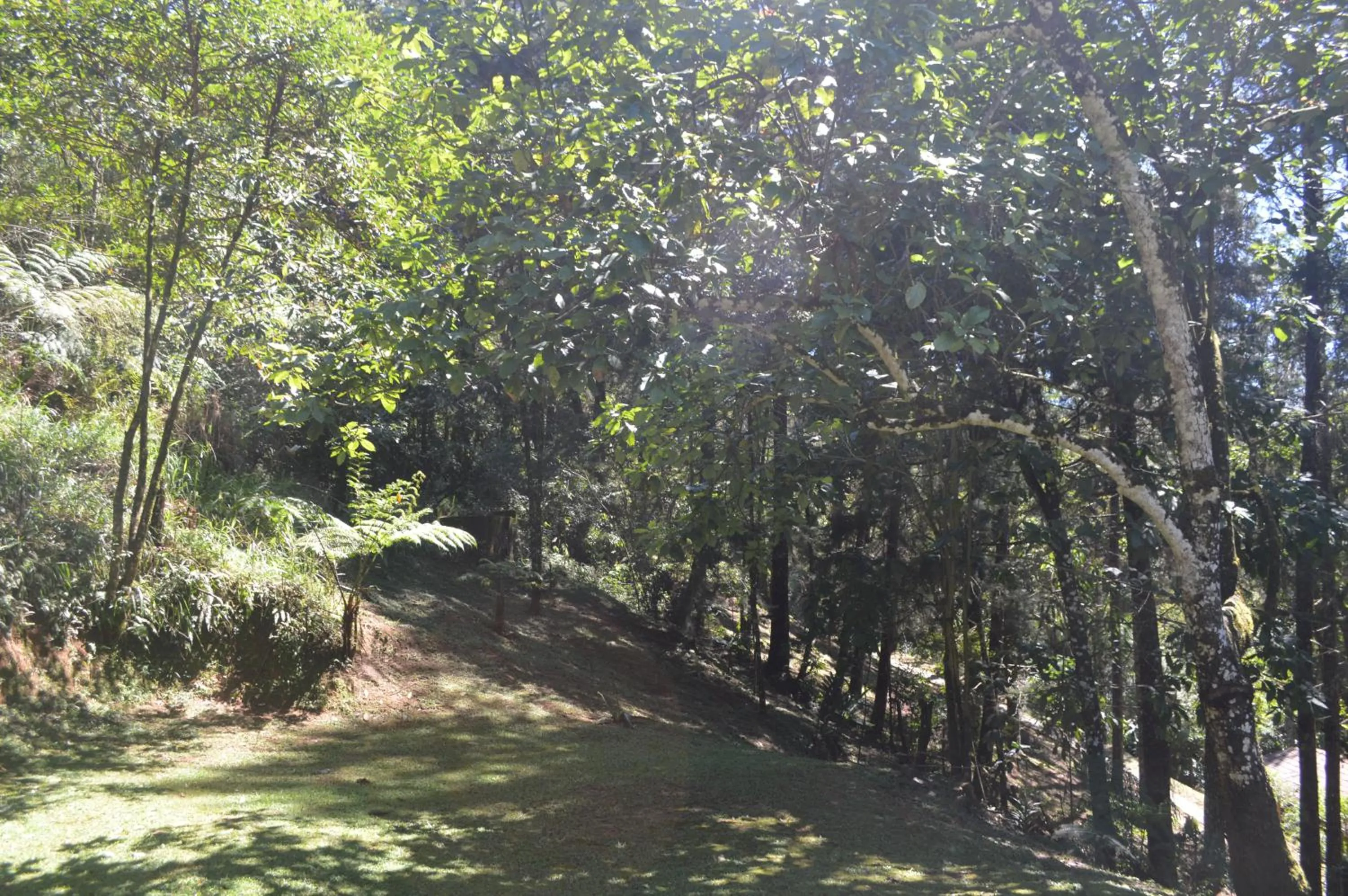 Garden in Pousada Refúgio das Aves
