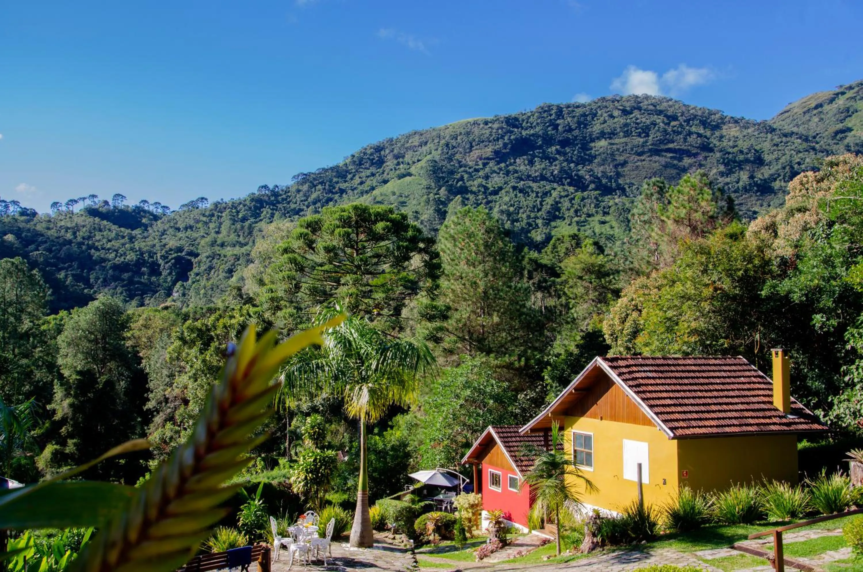 Natural landscape in Pousada Refúgio das Aves