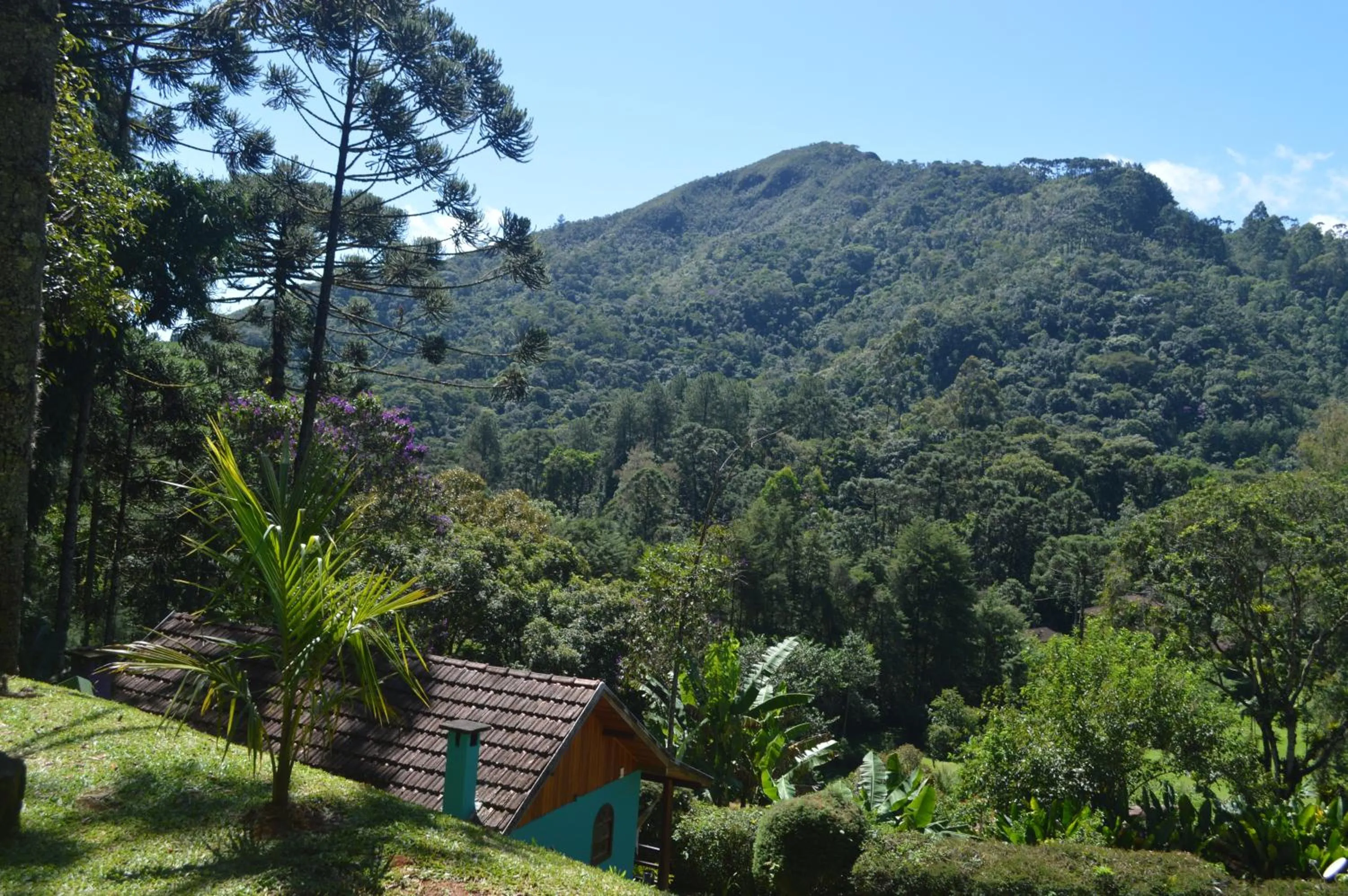 Natural landscape in Pousada Refúgio das Aves