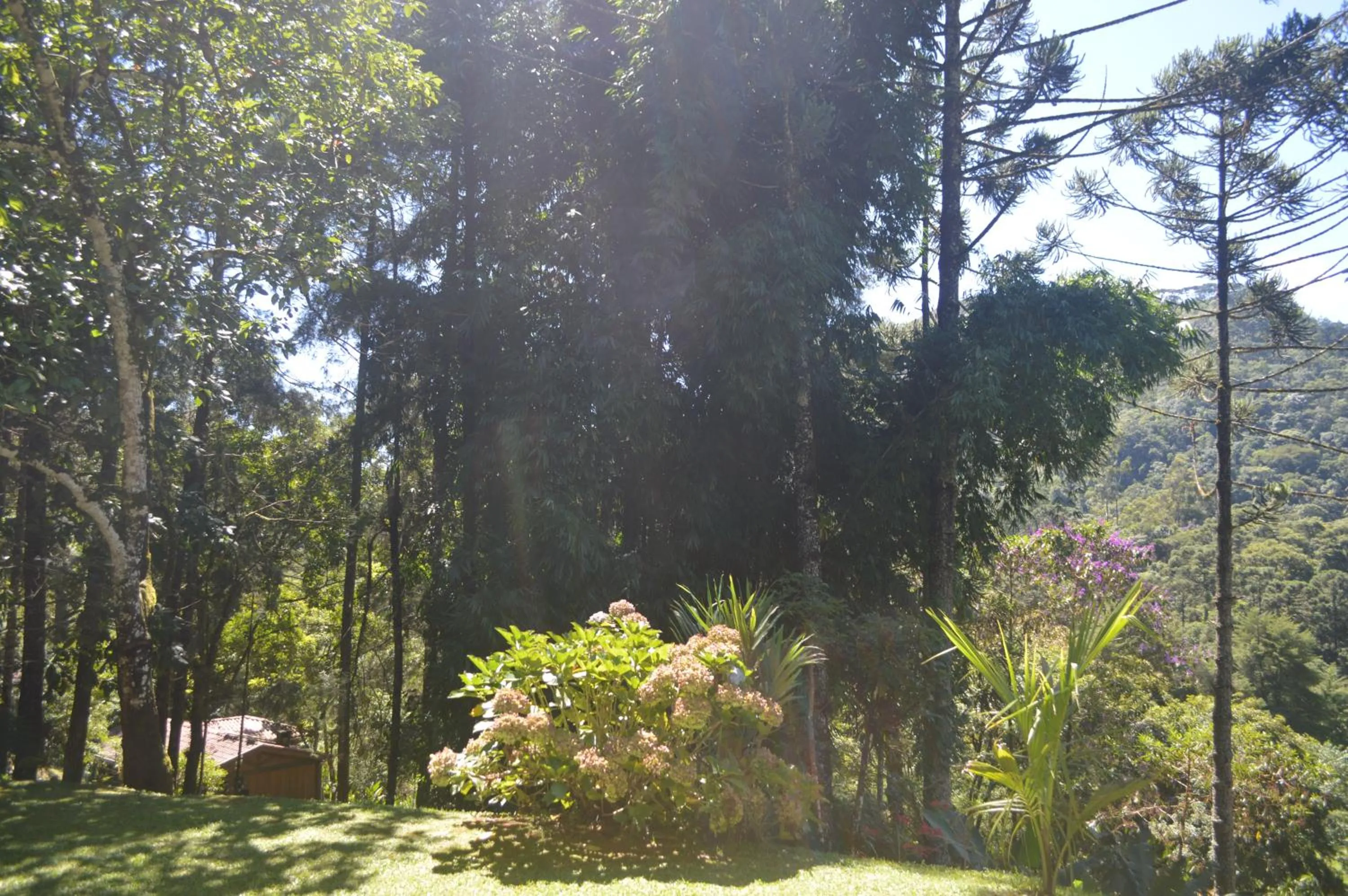 Garden in Pousada Refúgio das Aves
