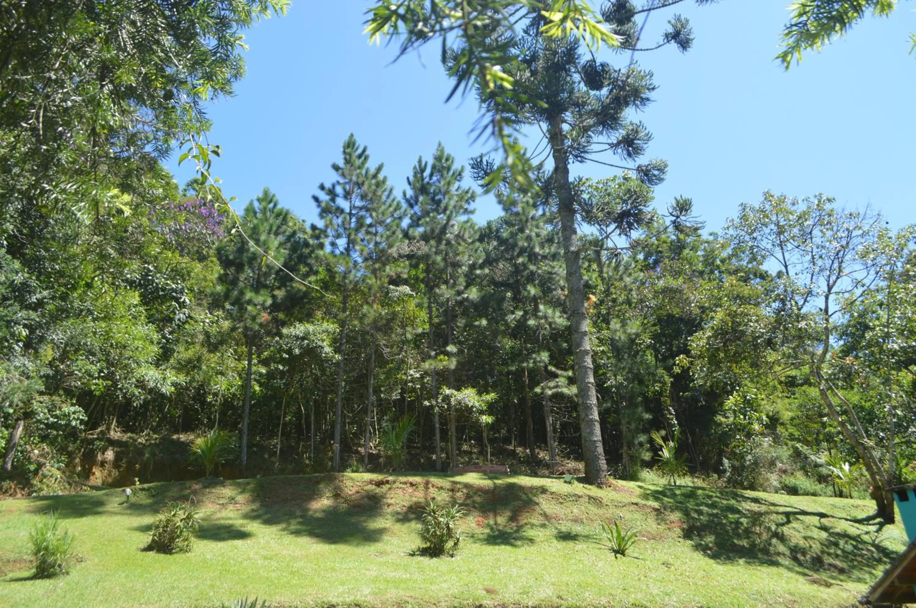 Garden in Pousada Refúgio das Aves
