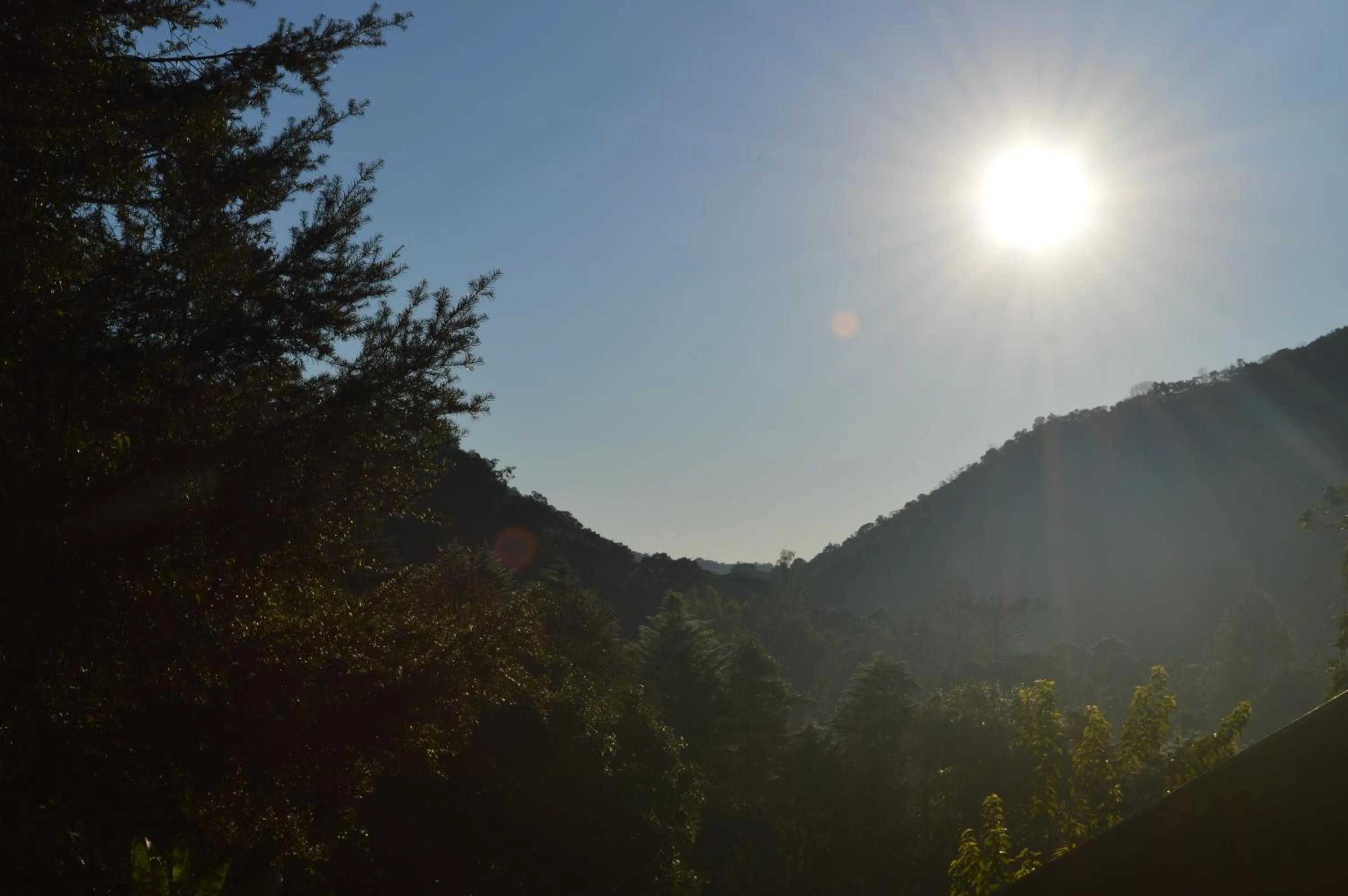 Garden in Pousada Refúgio das Aves