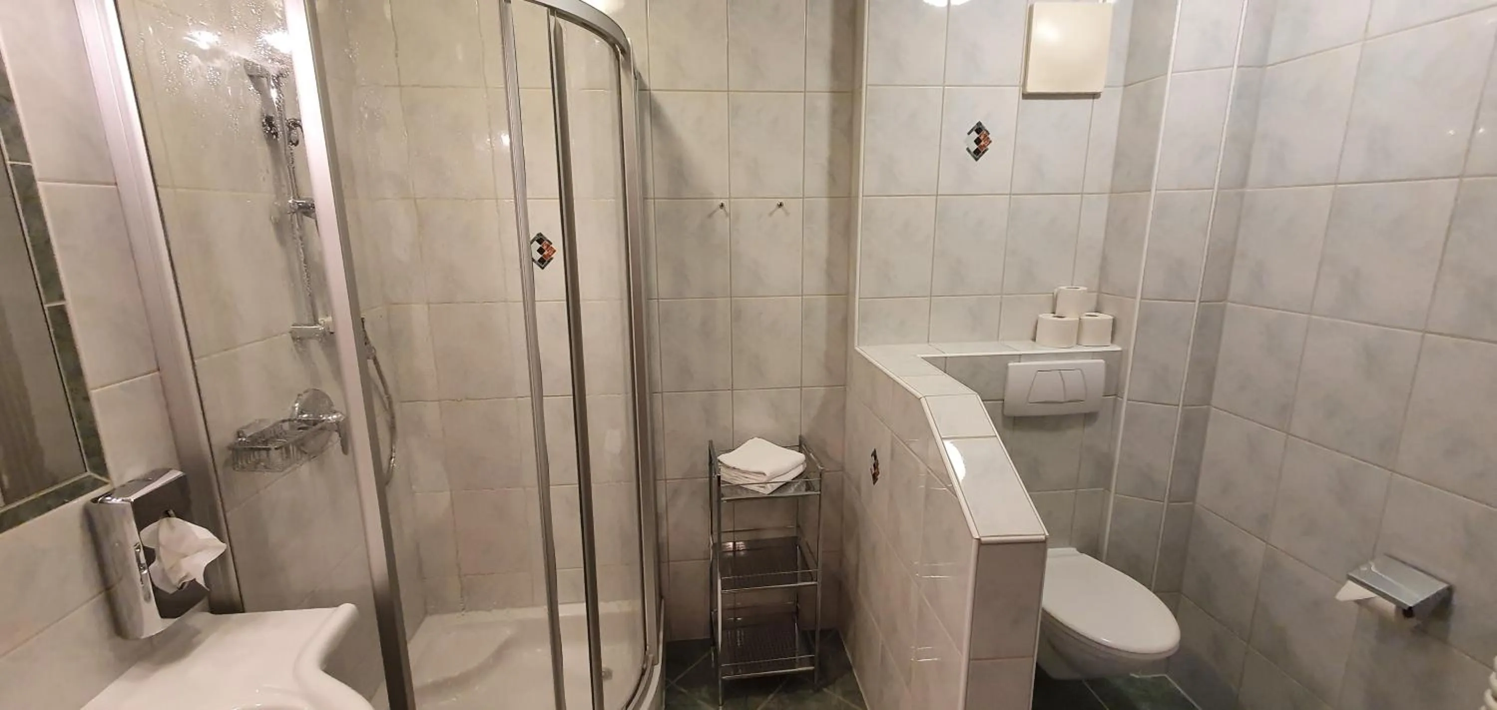 Bathroom in Hotel Moser