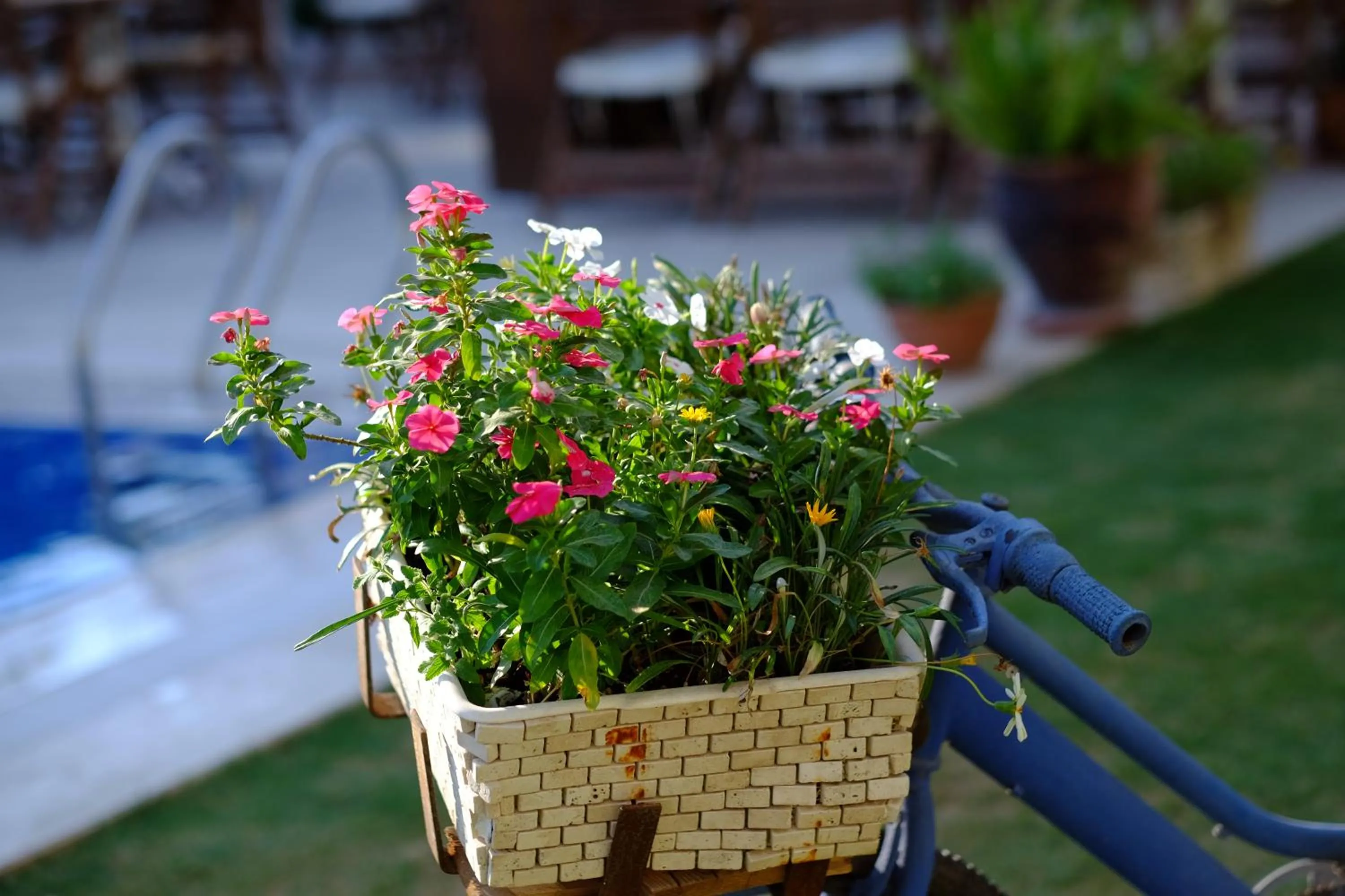 Garden in Villa Rustica Hotel