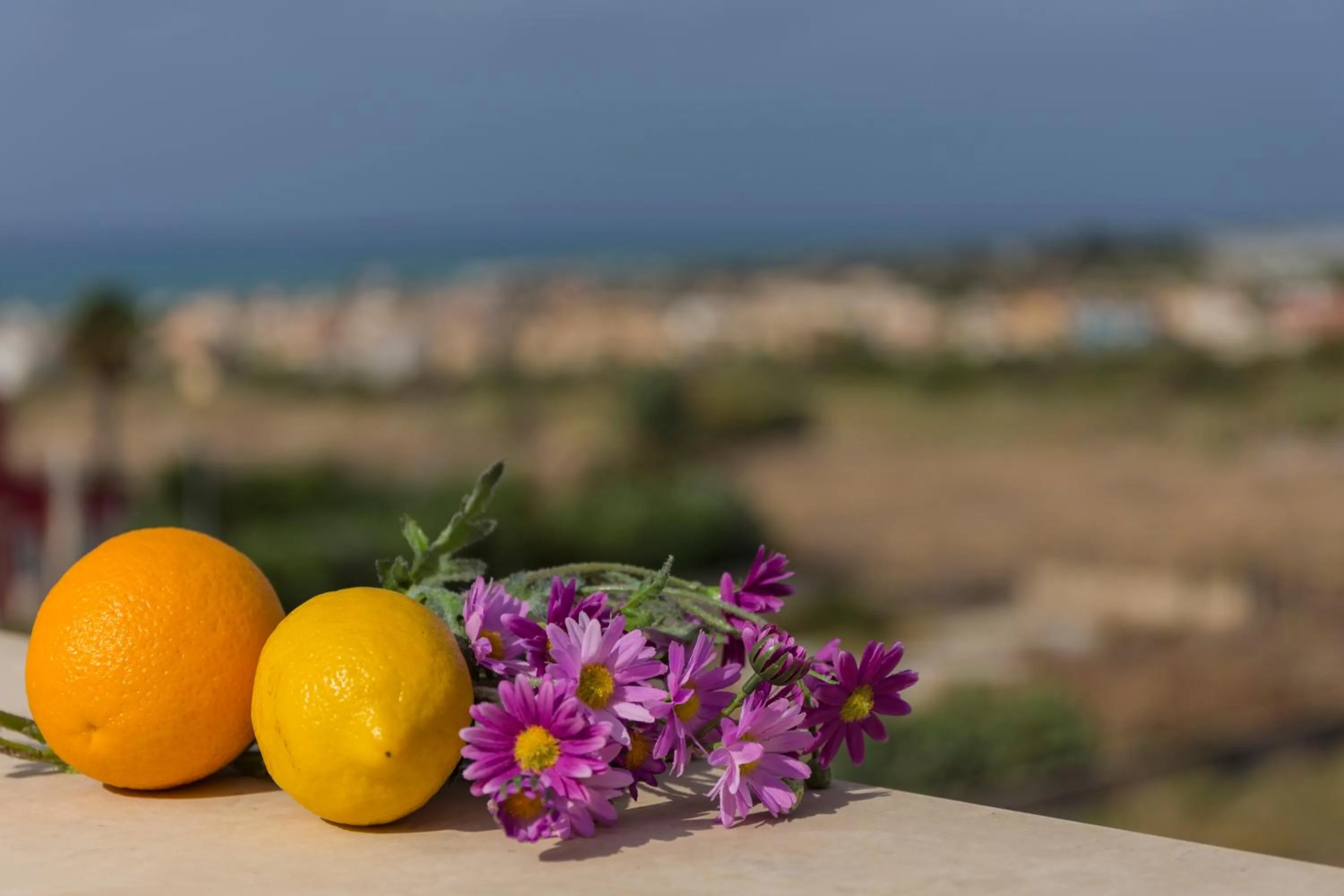 Decorative detail in MareinSicilia Dammusa Residence