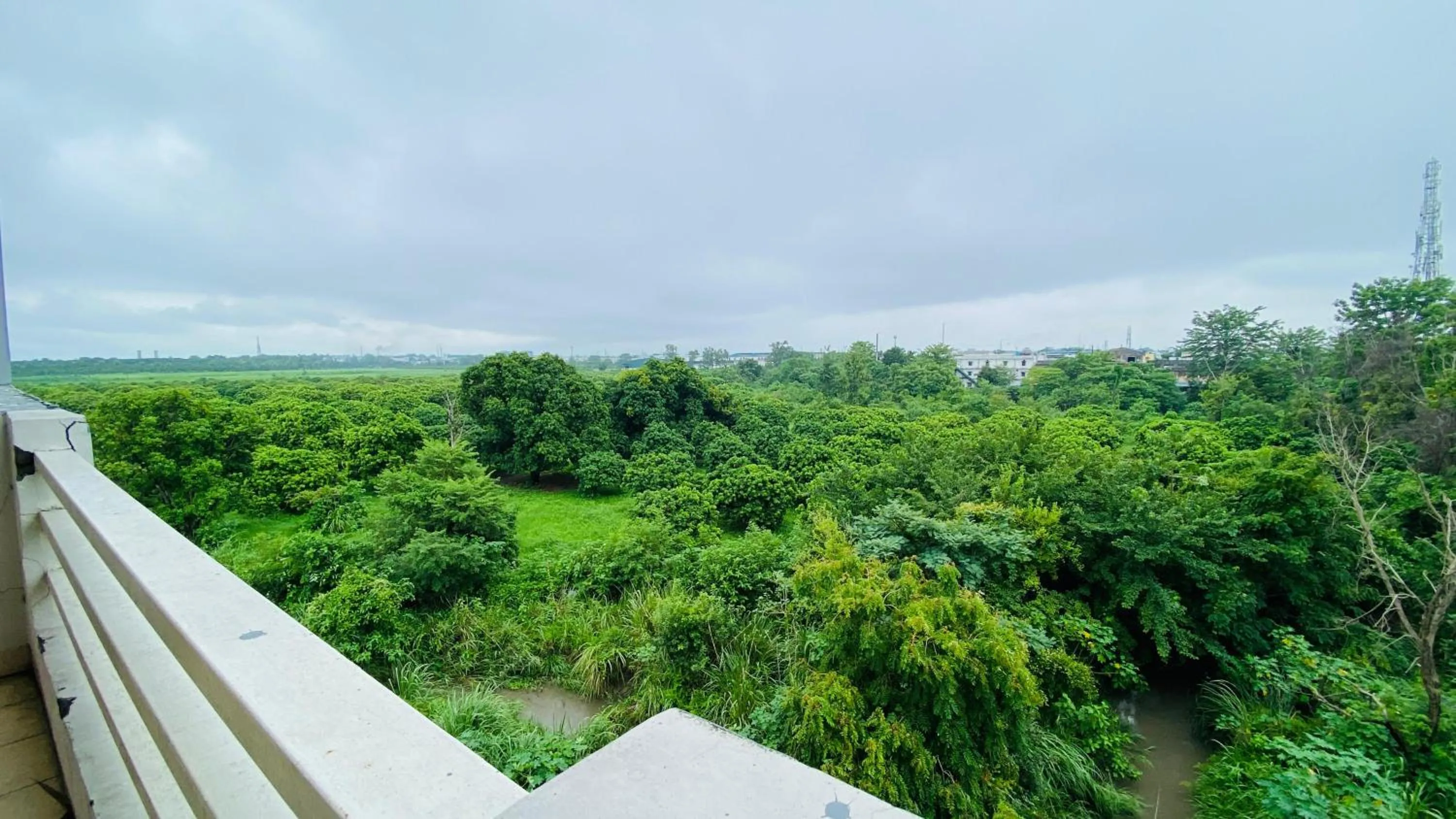 View (from property/room) in LivBox