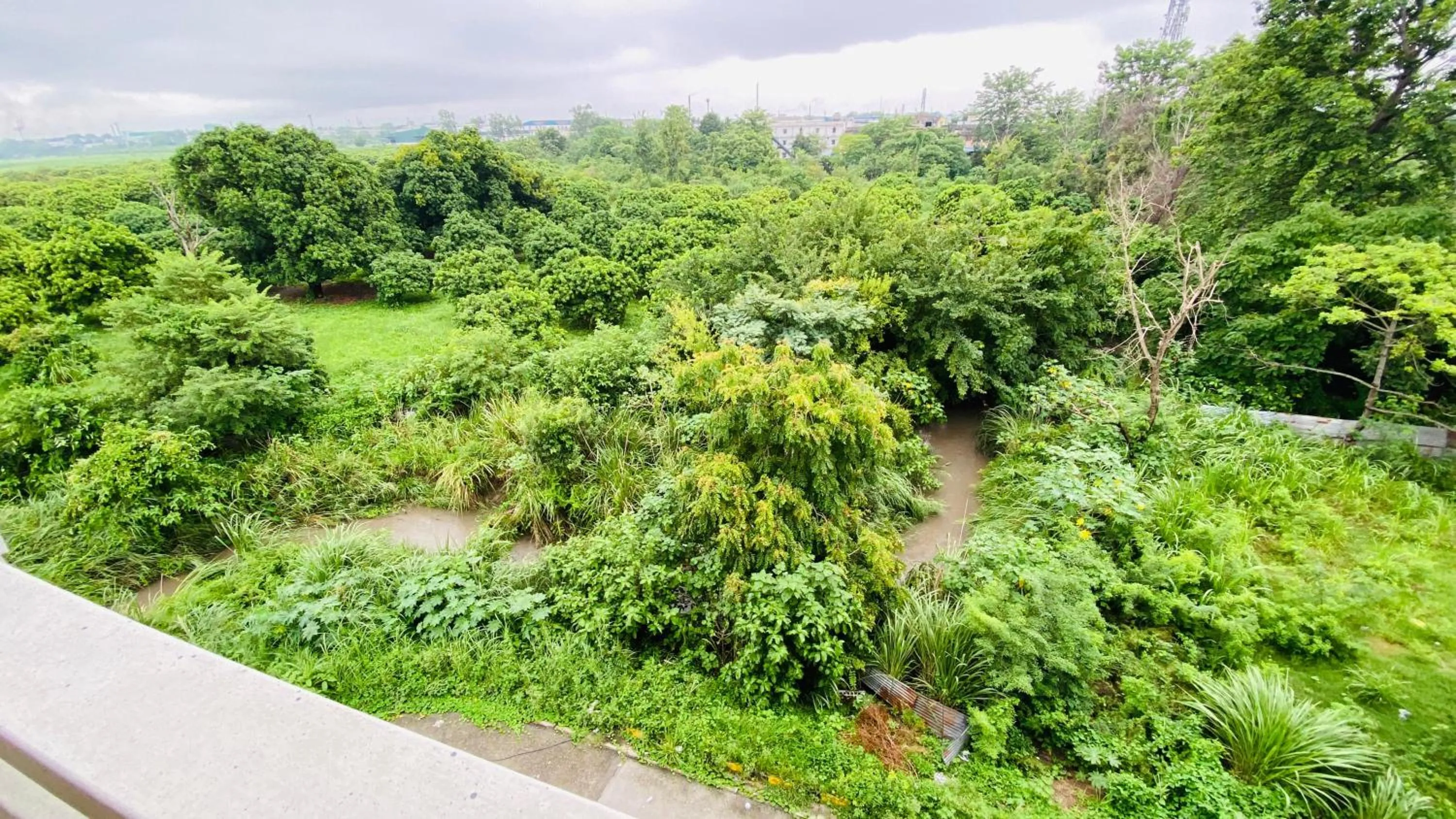 View (from property/room) in LivBox