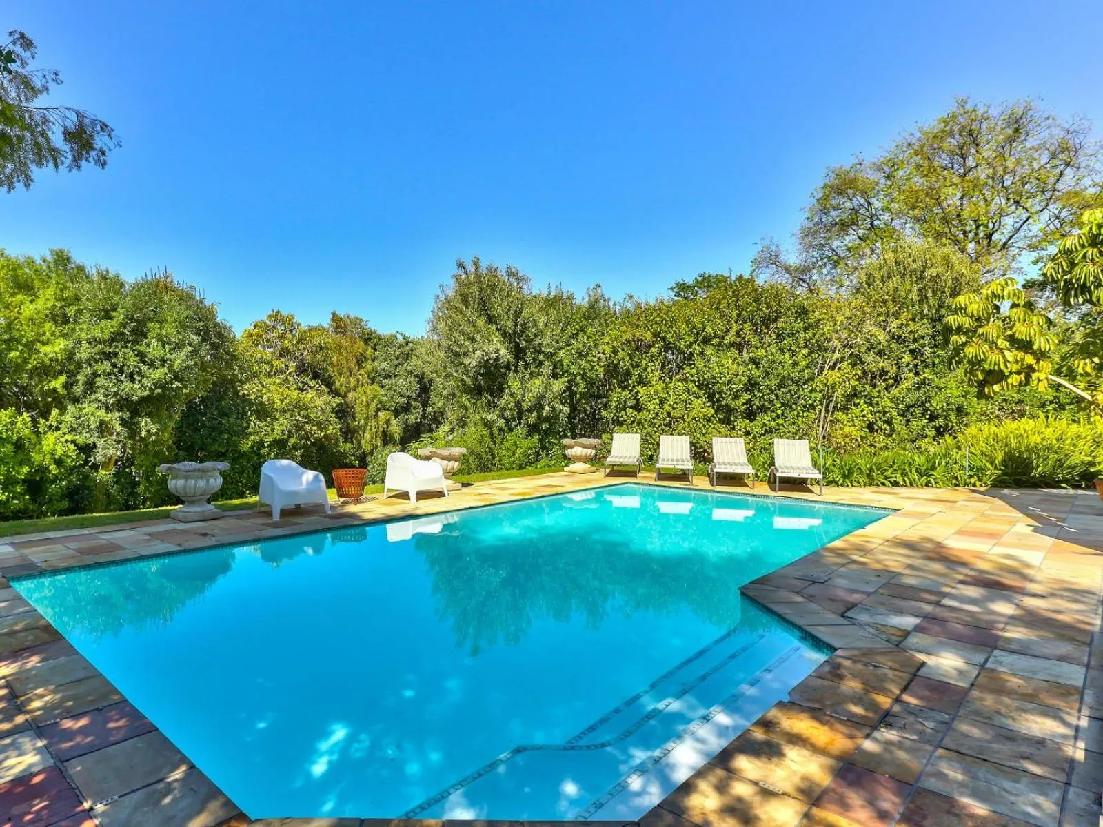 Swimming pool in Devonport House - Constantia