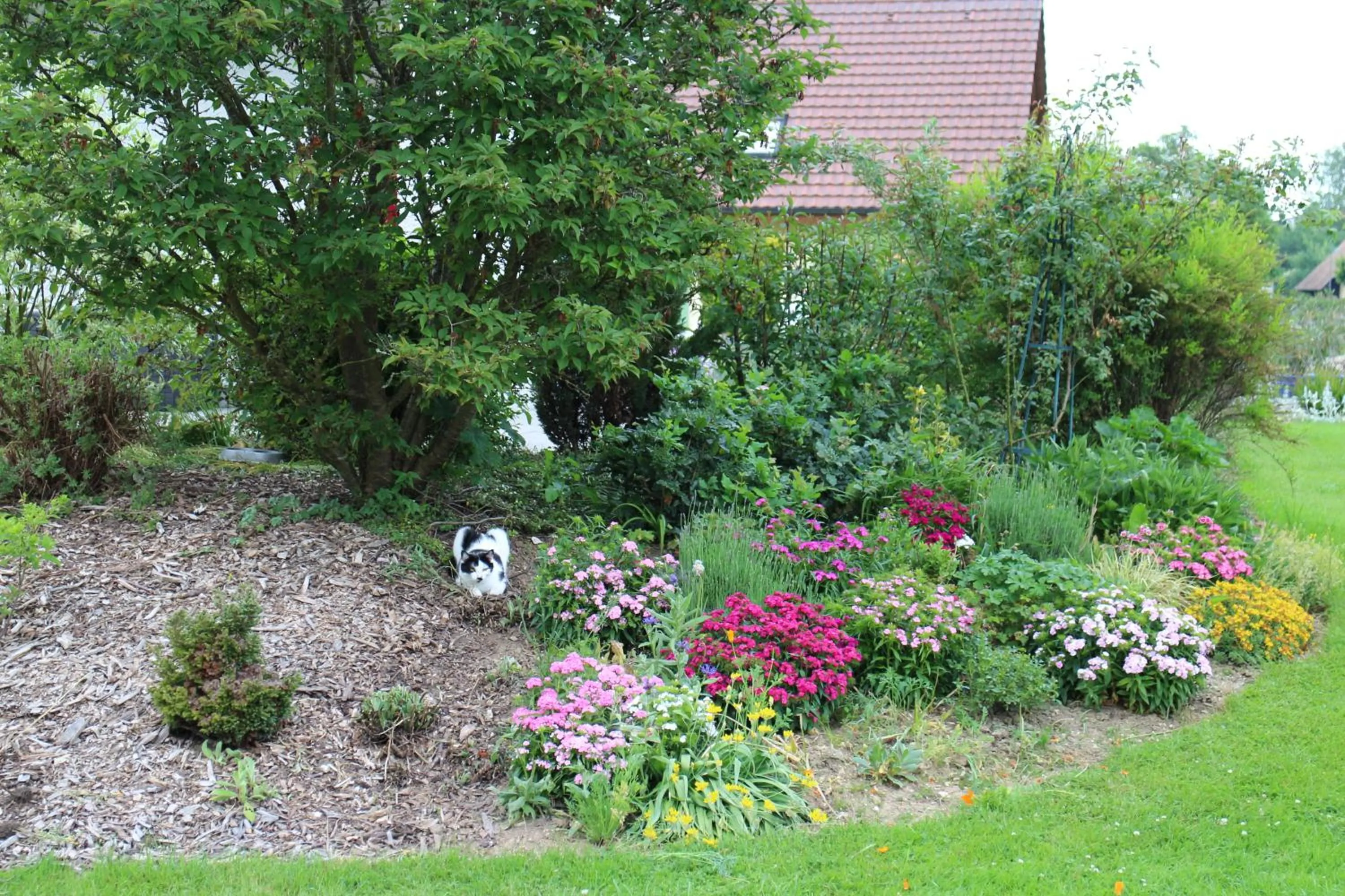Garden in Les Petites Chambres de la Bleue Maison