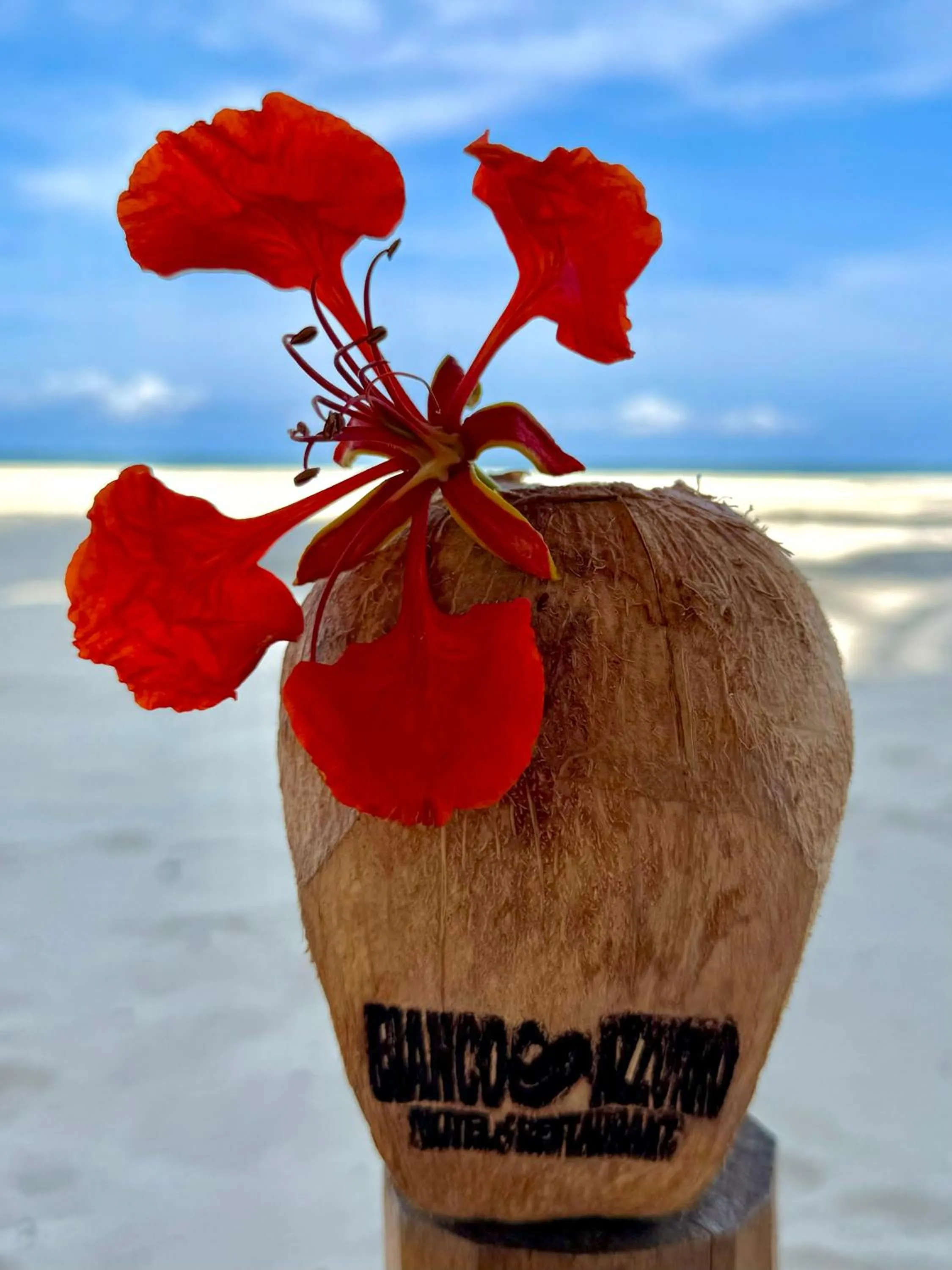 Lounge or bar in BIANCO AZZURRO Hotel & Restaurant