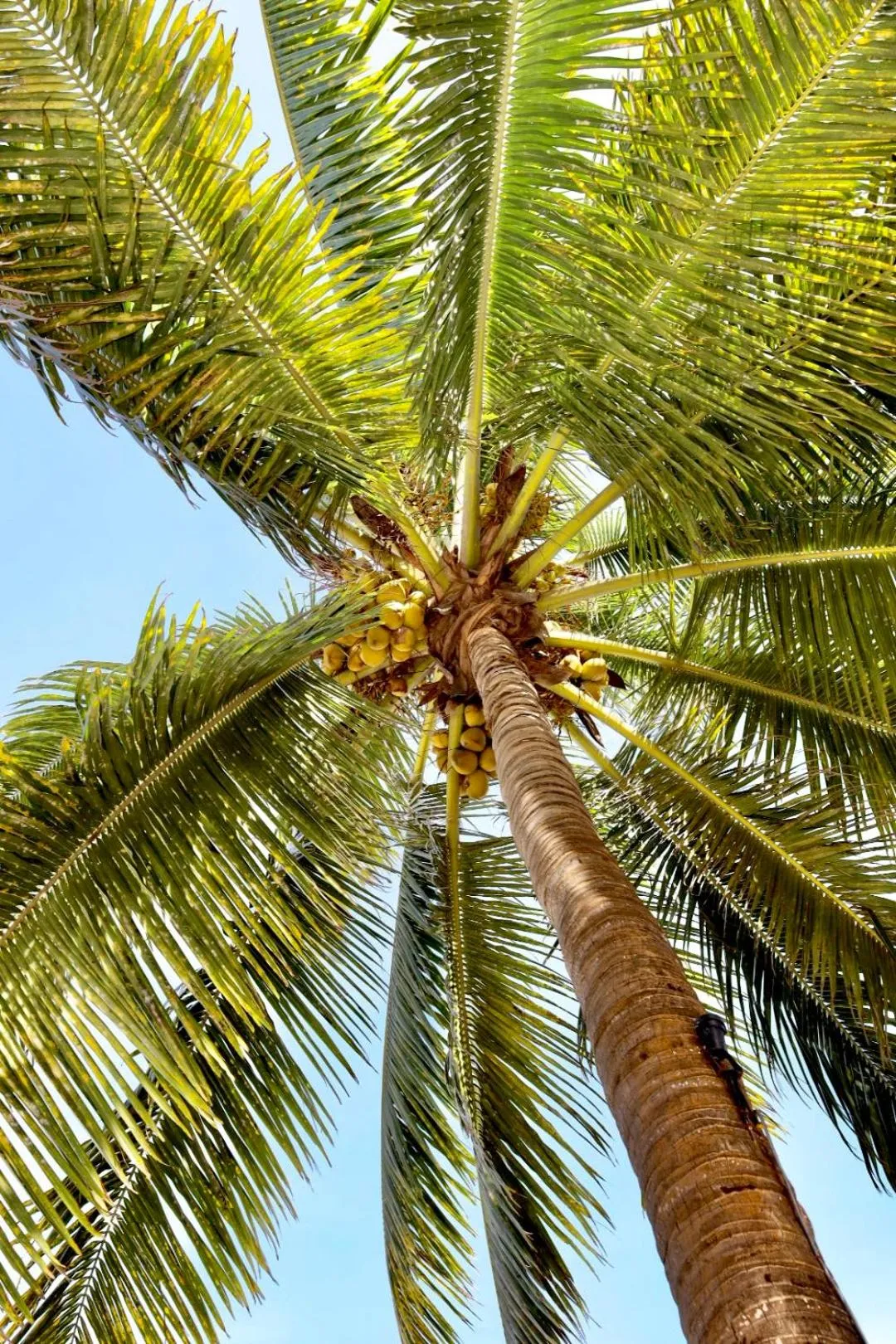 BIANCO AZZURRO Hotel & Restaurant