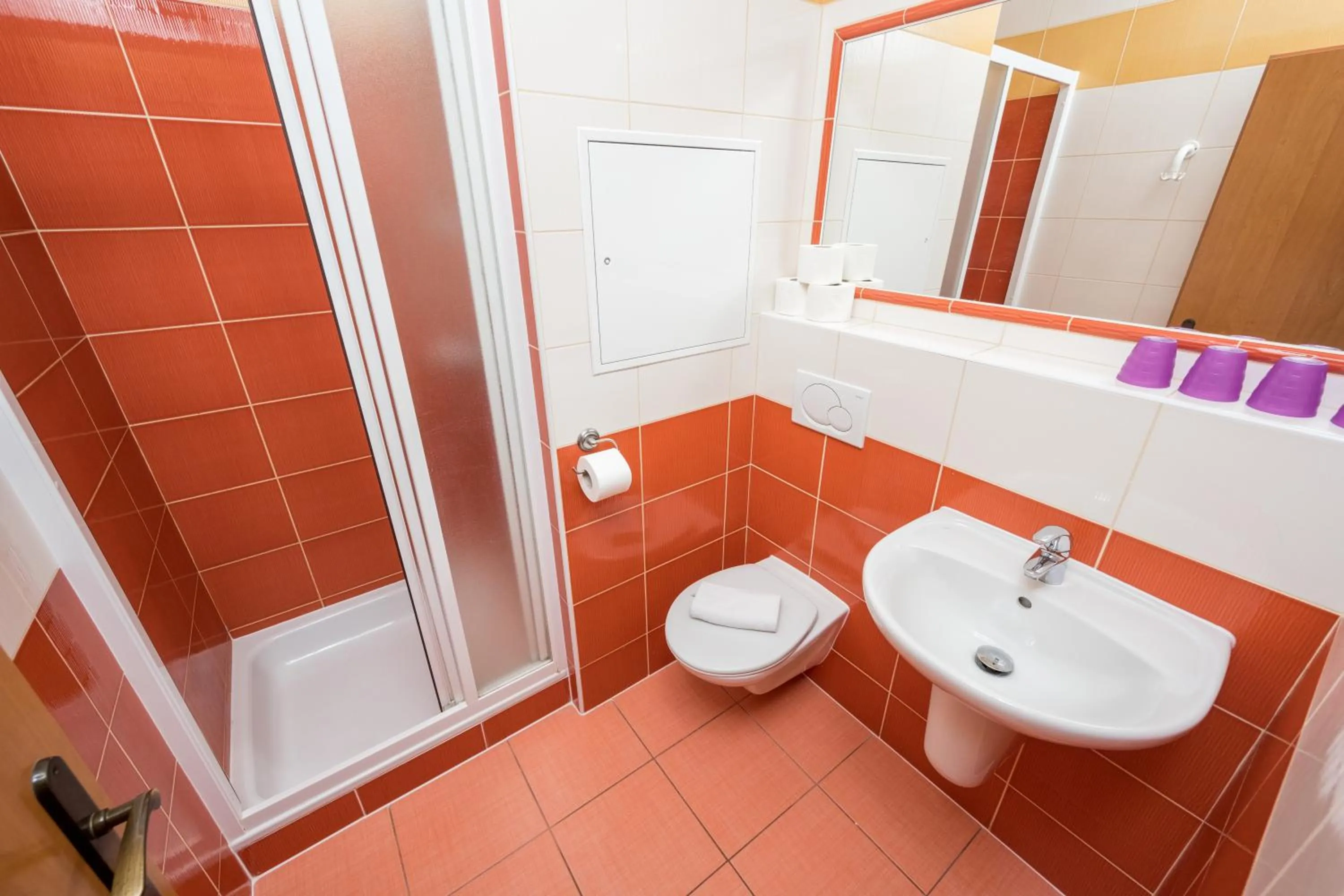 Shower in Horský Hotel Jelínek