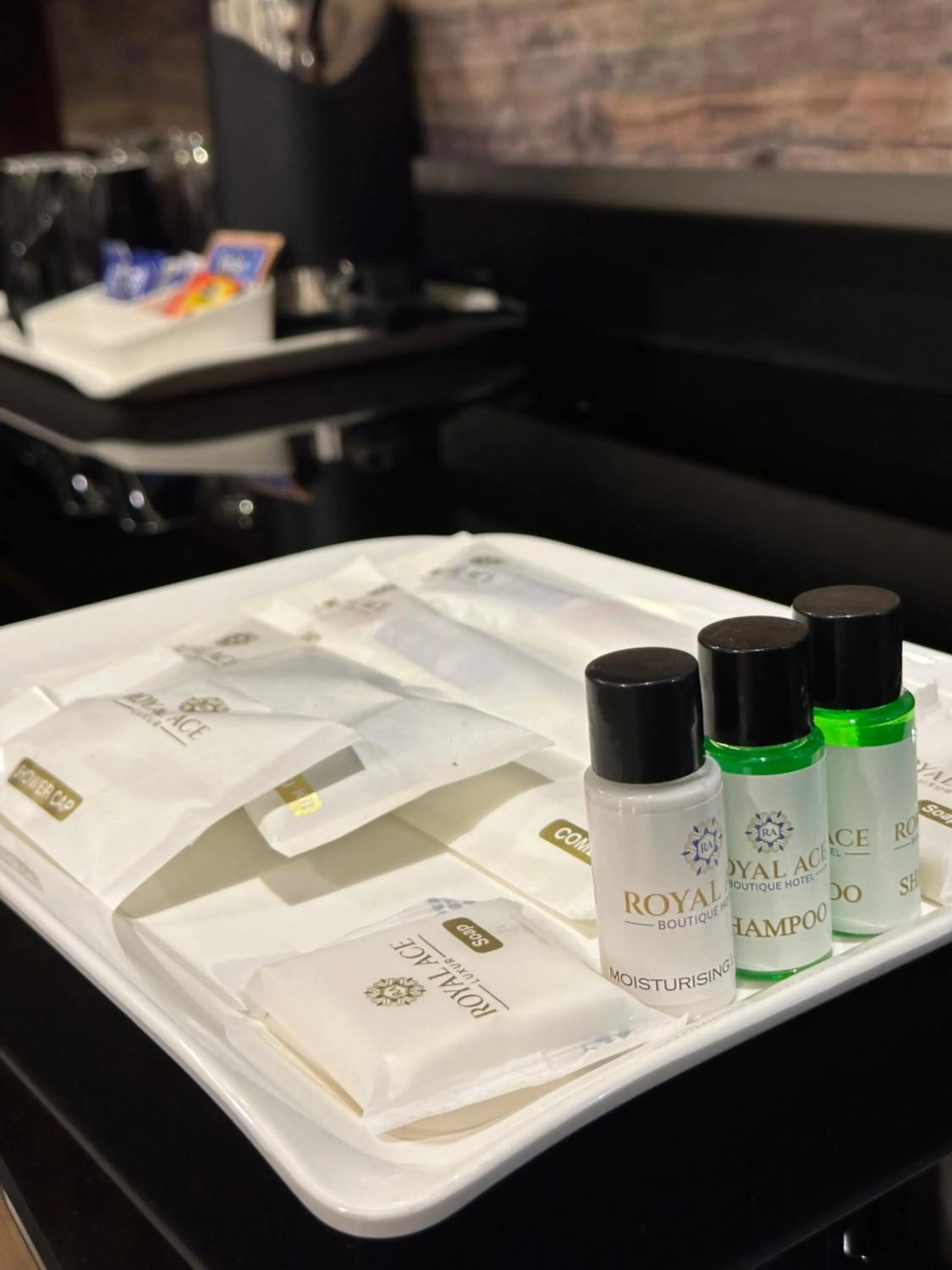 Area and facilities in ROYAL ACE LUXUR