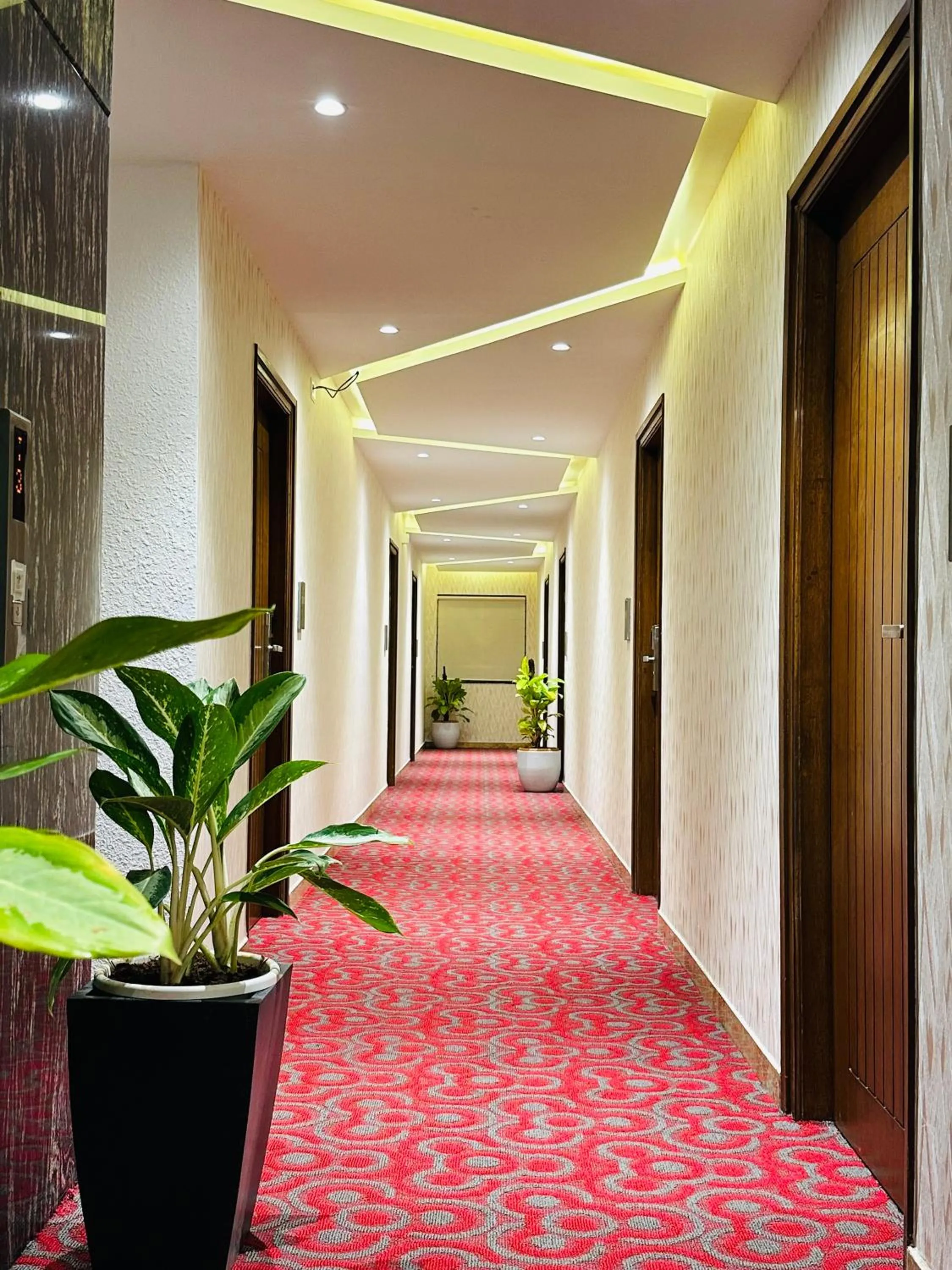 Garden in ROYAL ACE LUXUR