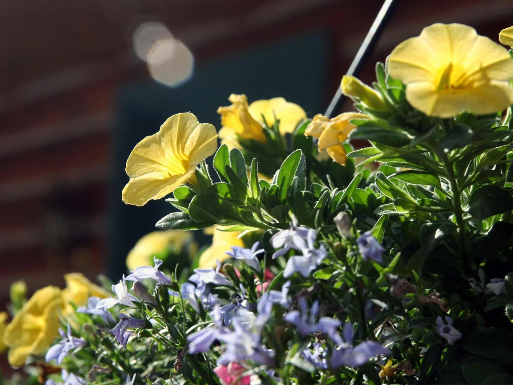 Balcony/Terrace in Ouray Inn