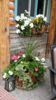View (from property/room) in Ouray Inn