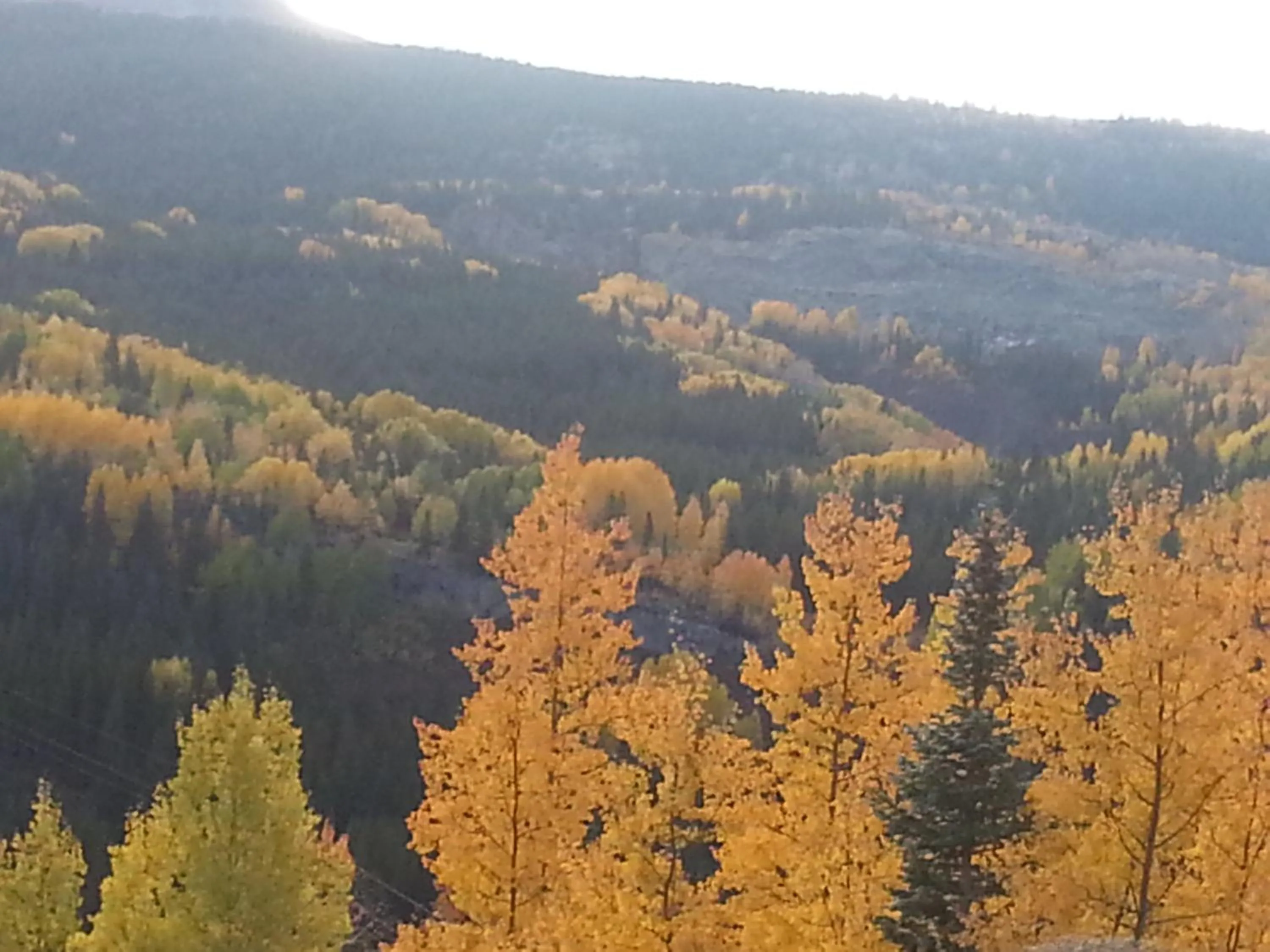 View (from property/room) in Ouray Inn