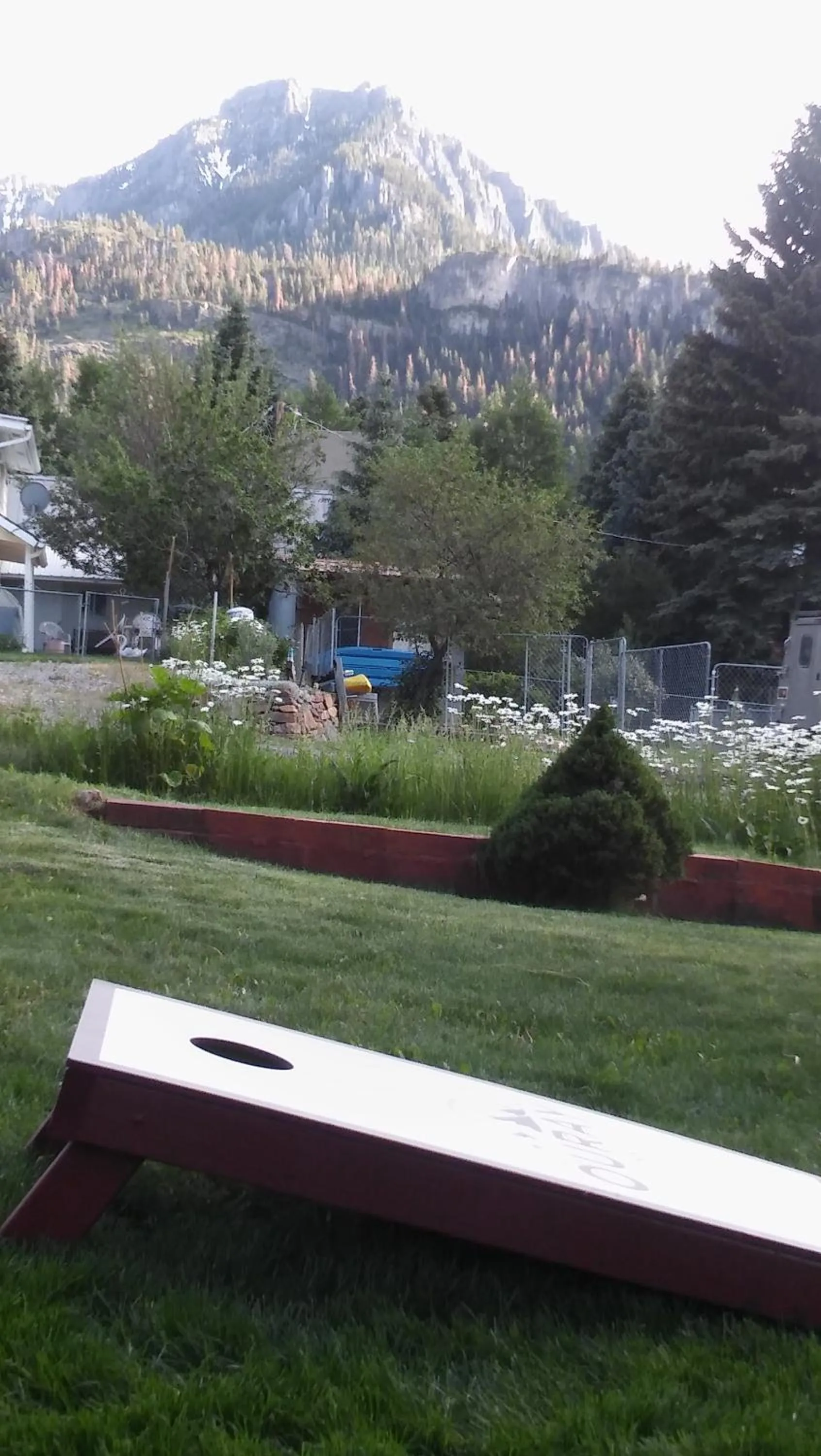 Entertainment in Ouray Inn