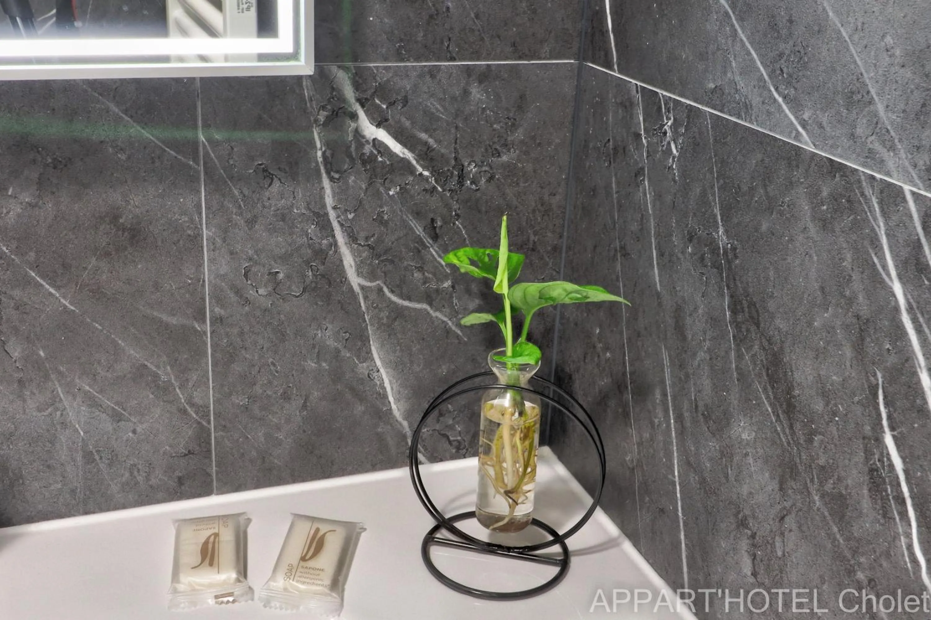 Appart hotel Cholet Carteron