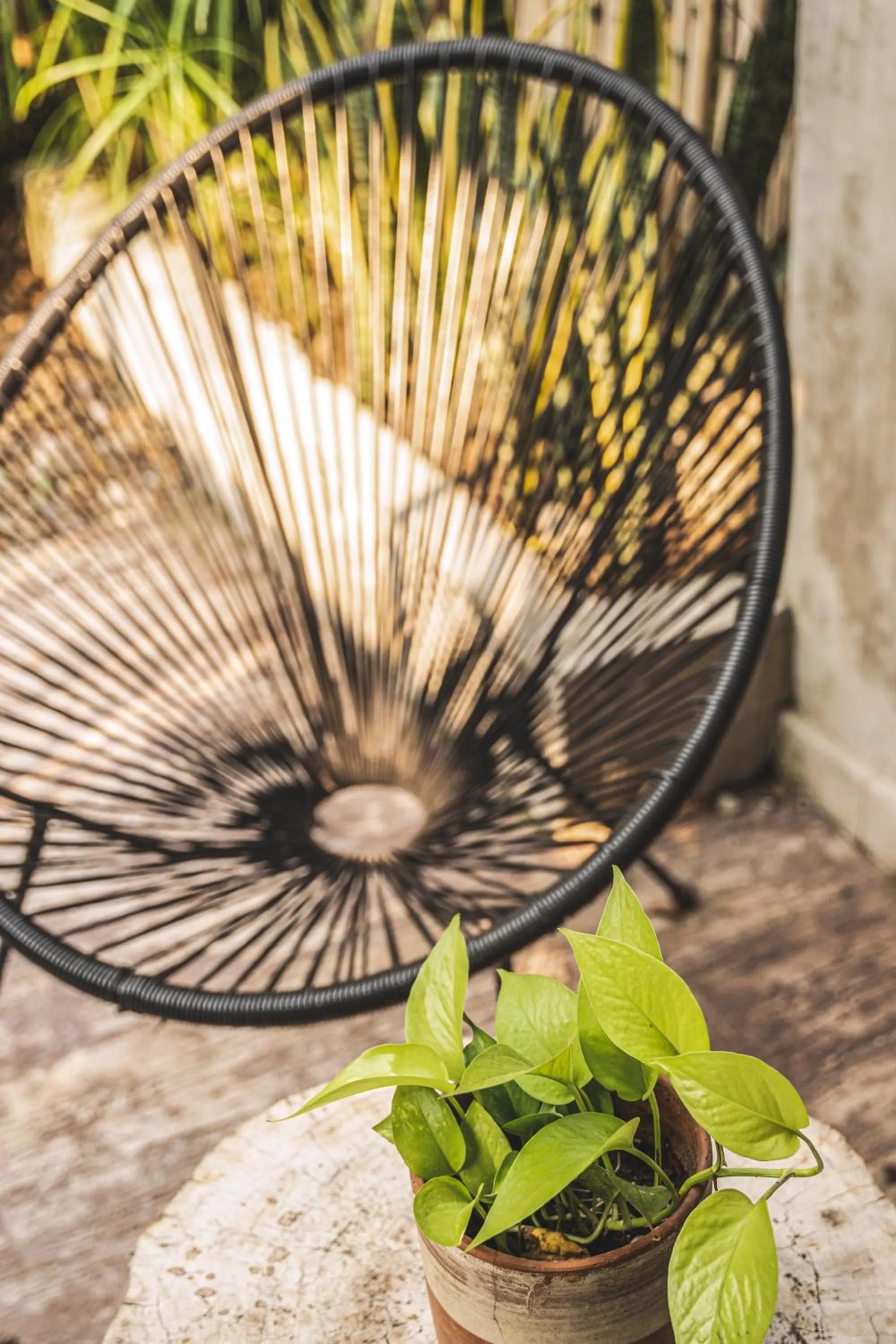 Garden view in Waka Hotel Rural
