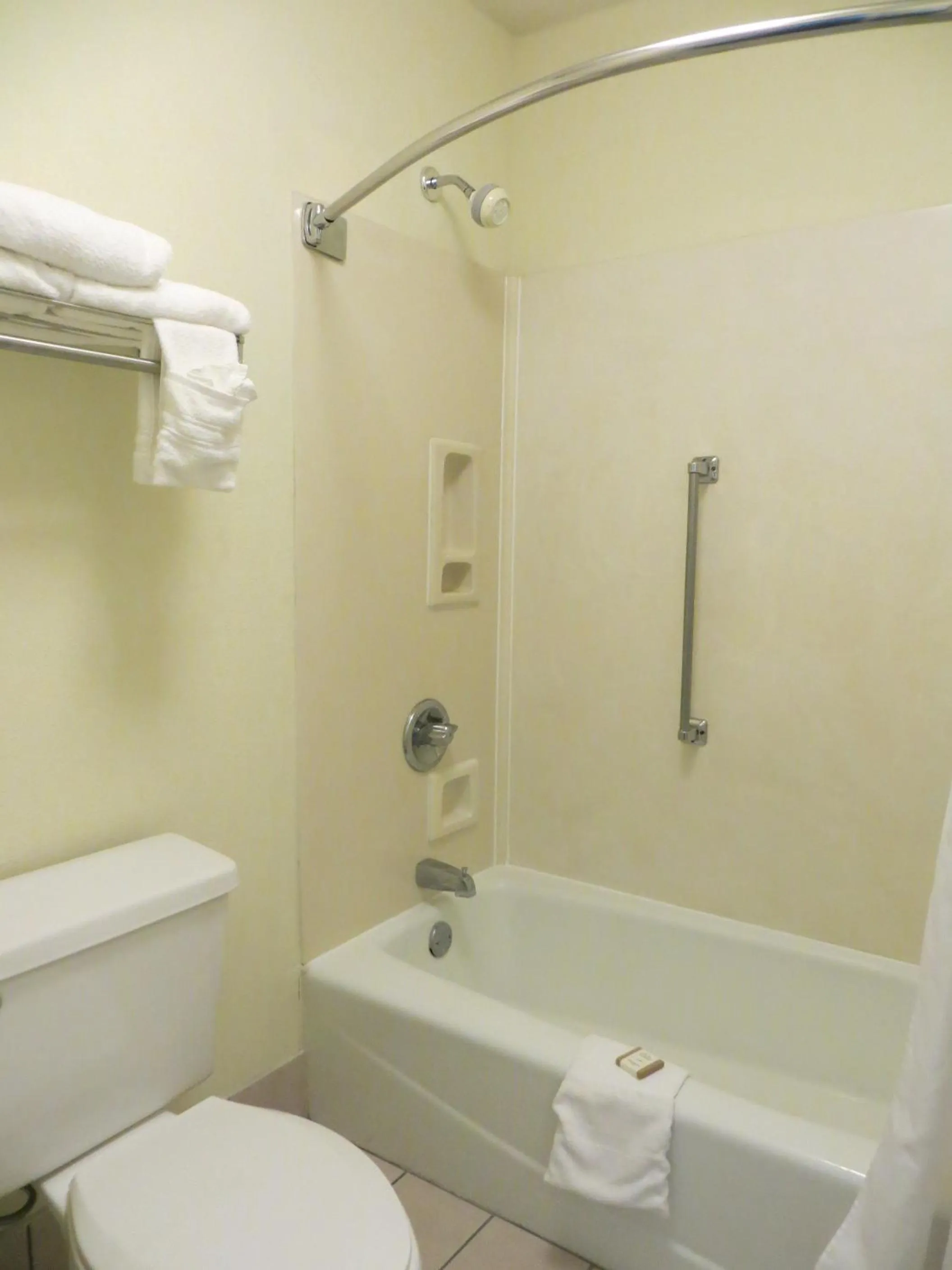 Toilet in Baymont Inn & Suites by Wyndham Florence
