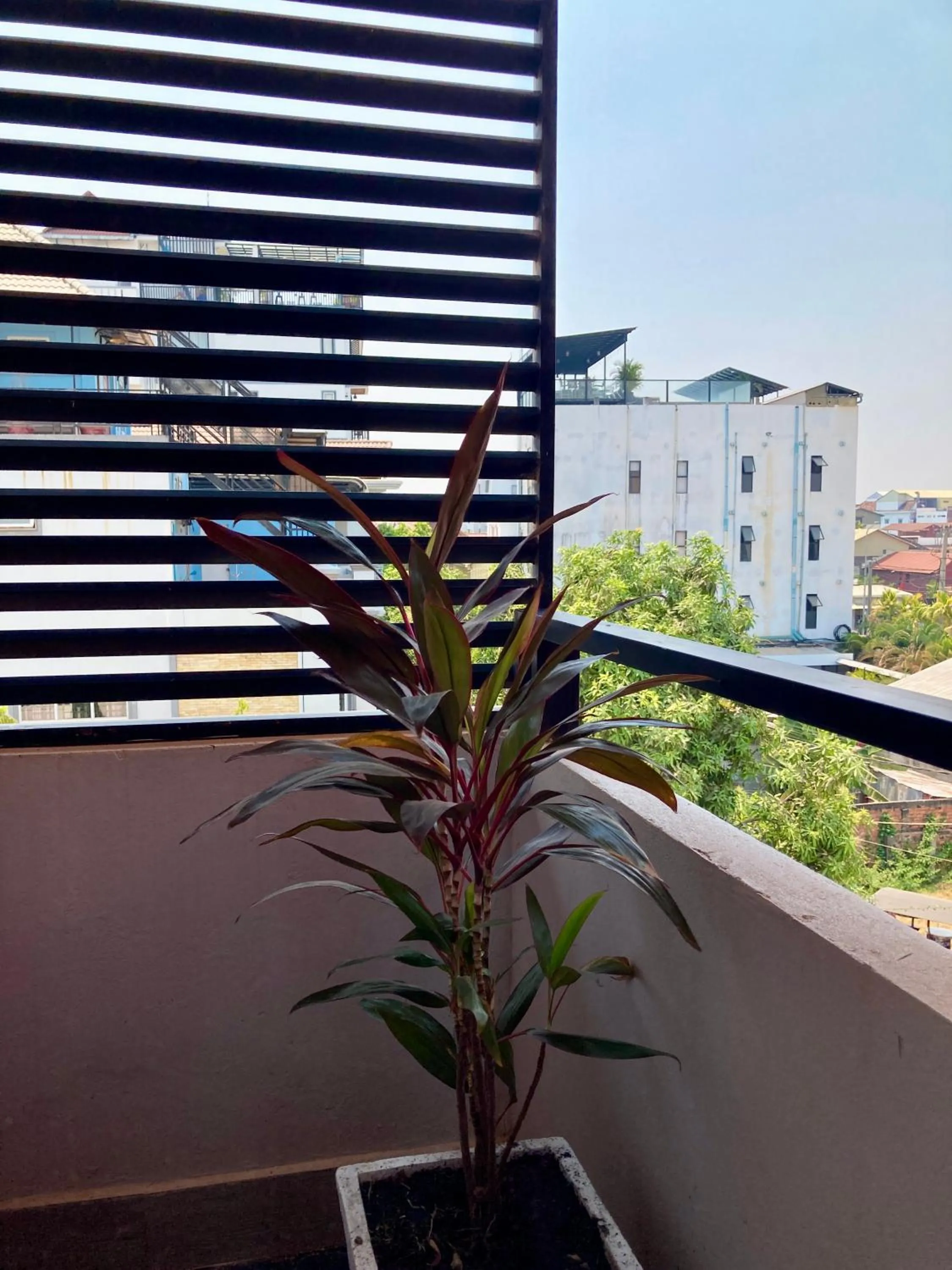Balcony/Terrace in Lotus Haven Villa