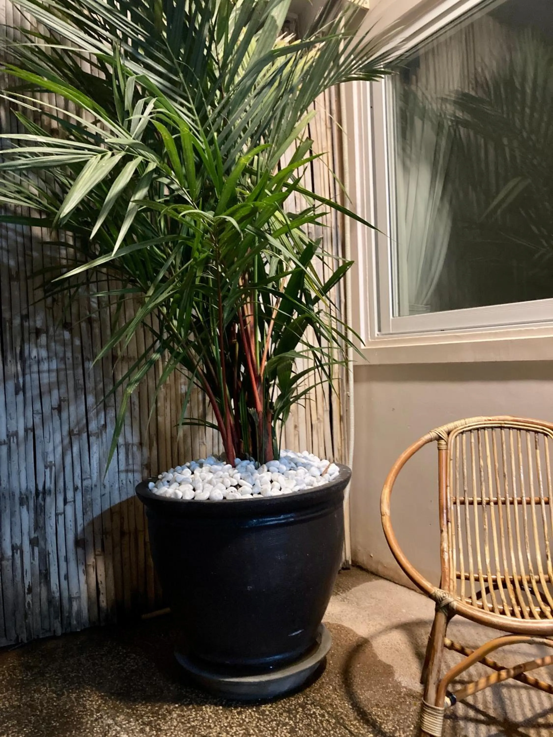 Decorative detail in Lotus Haven Villa