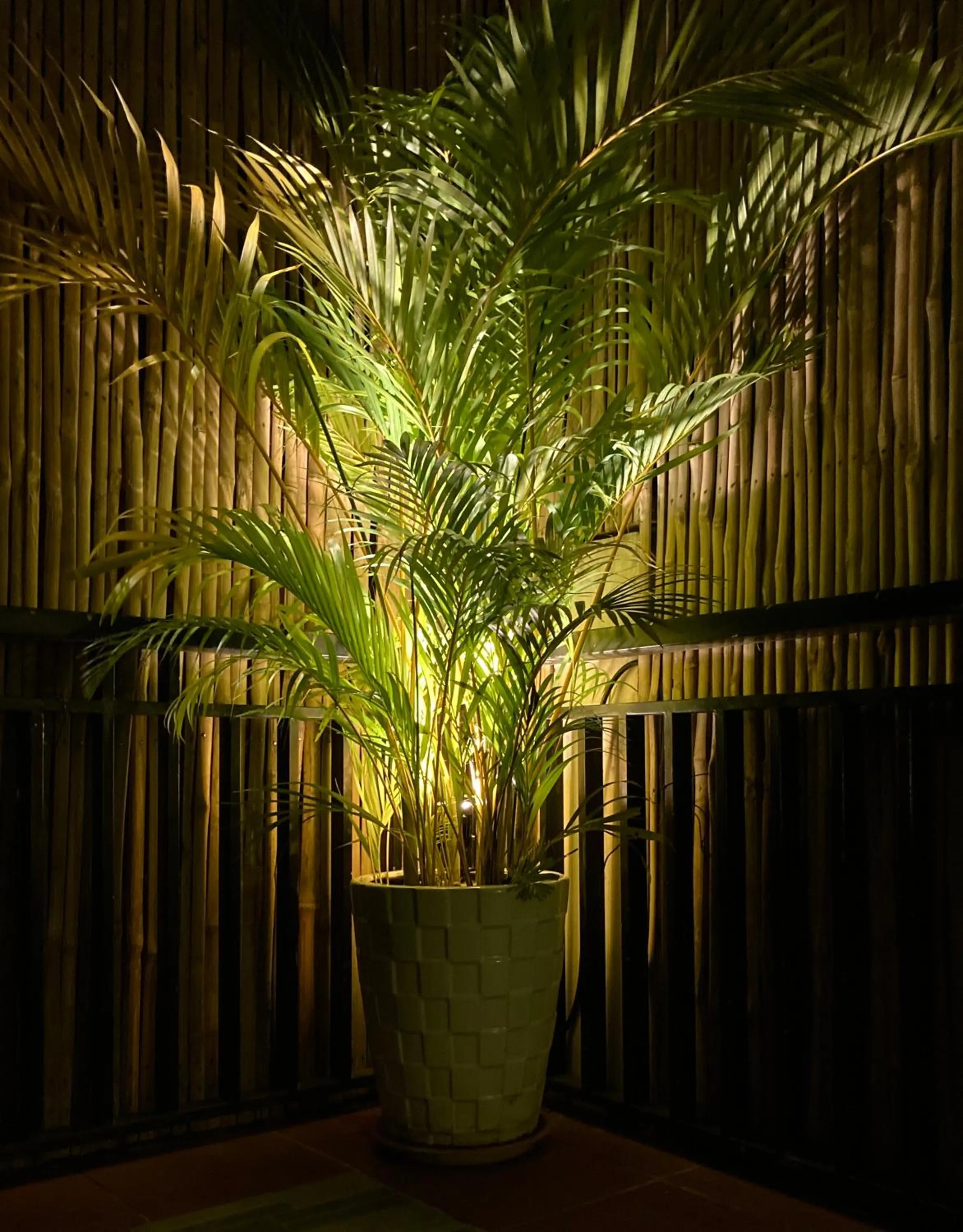 Night in Lotus Haven Villa