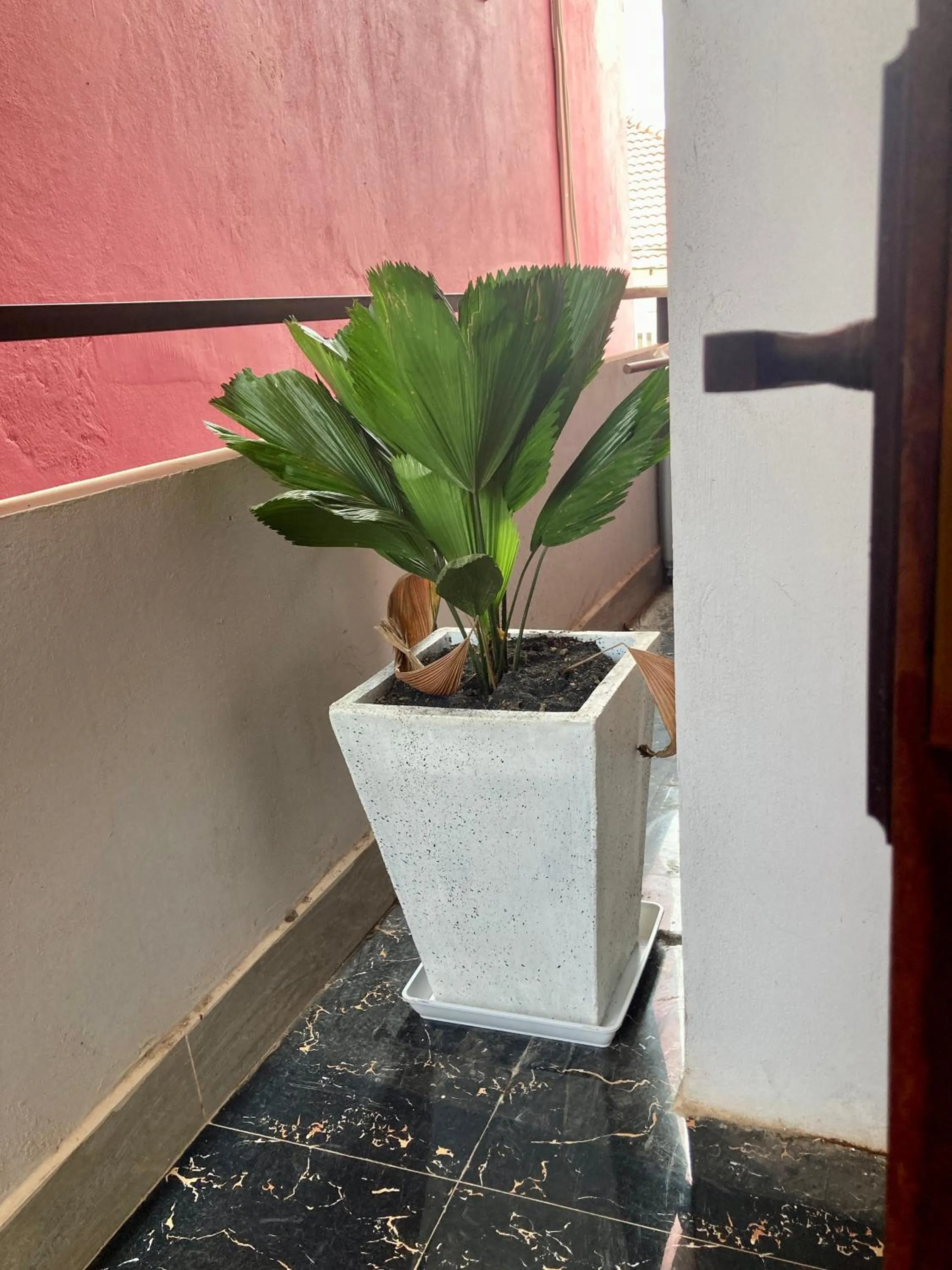 Balcony/Terrace in Lotus Haven Villa