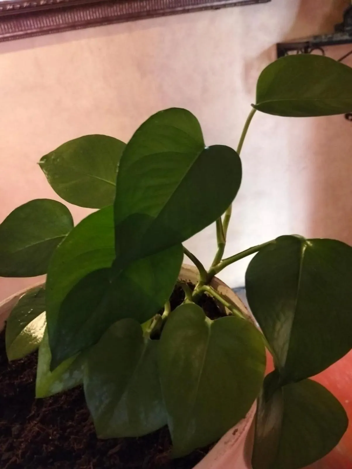 Hotel Antigua Casa de Piedra