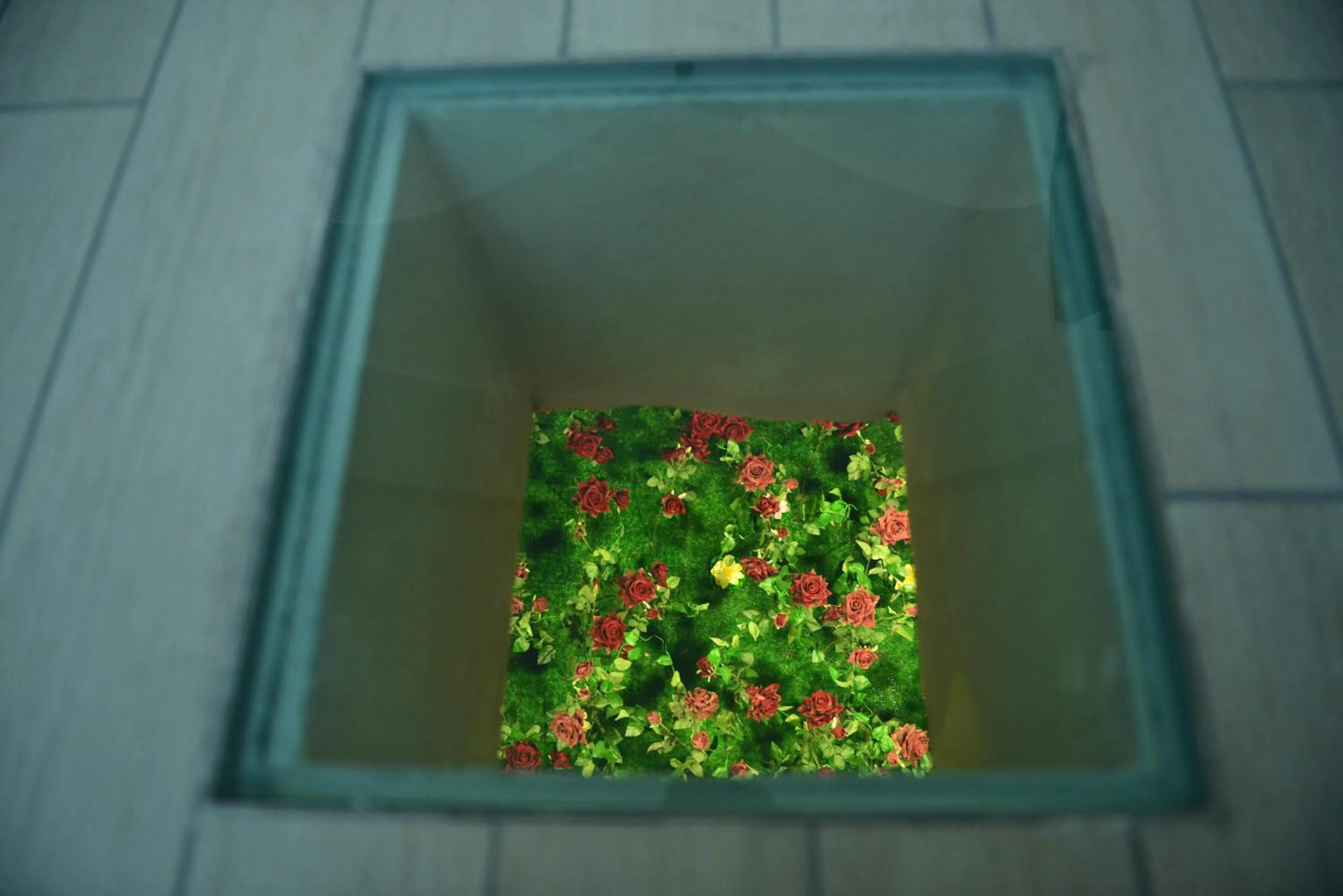 Communal lounge/ TV room in Bed and Breakfast Oz