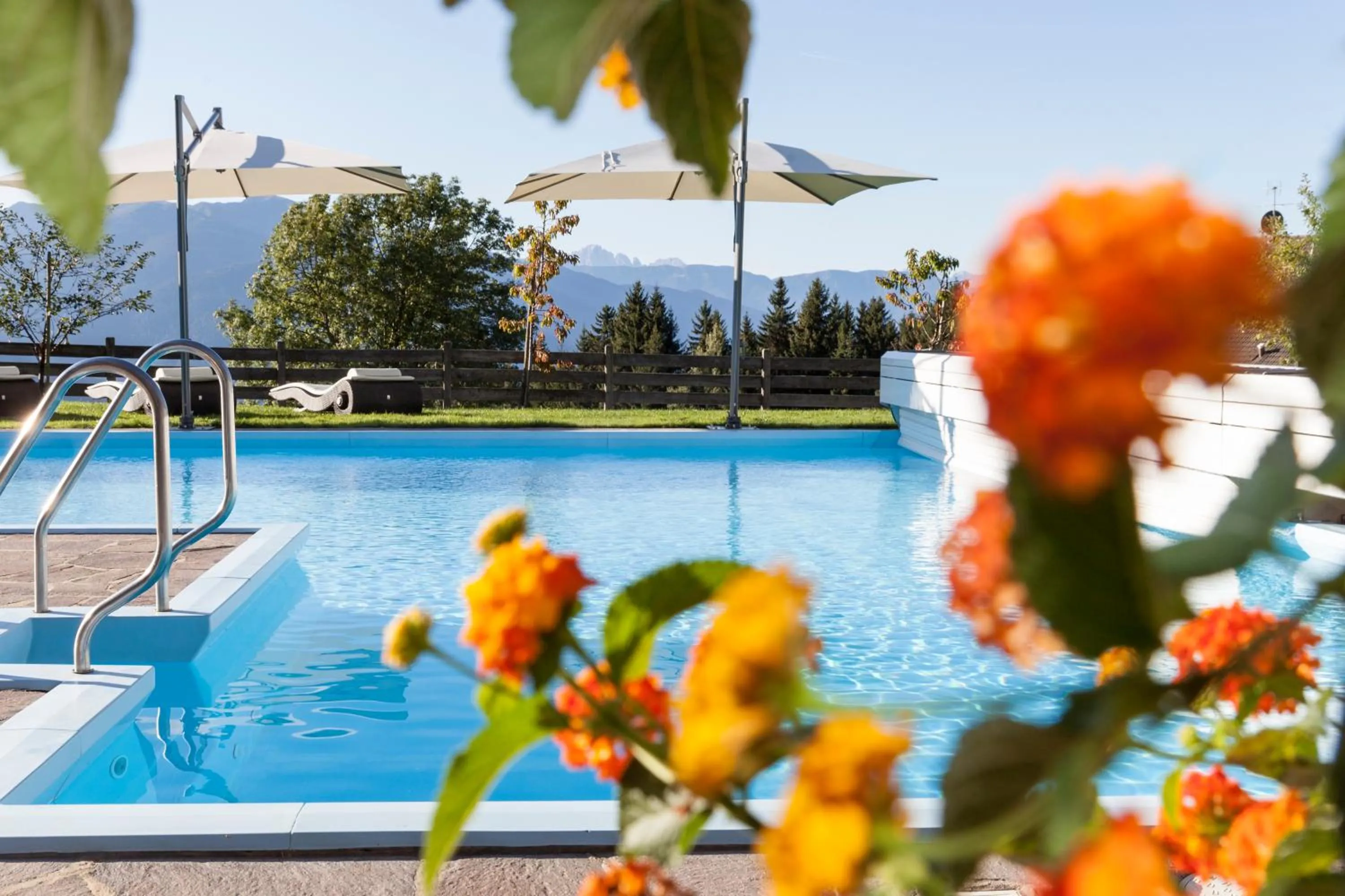 Swimming pool in Hotel Bacherhof