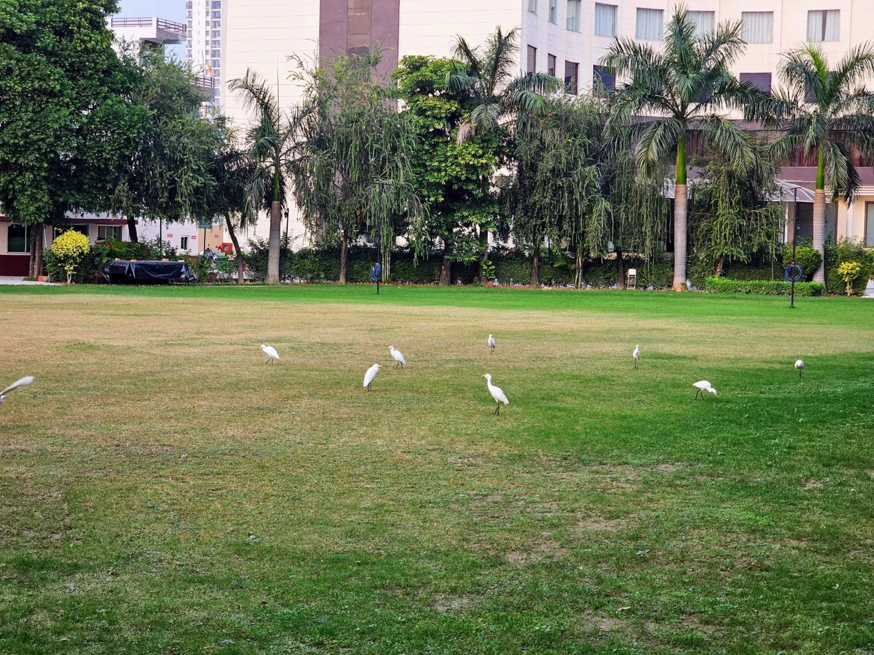 Day in Chinmay Hotel & Resort