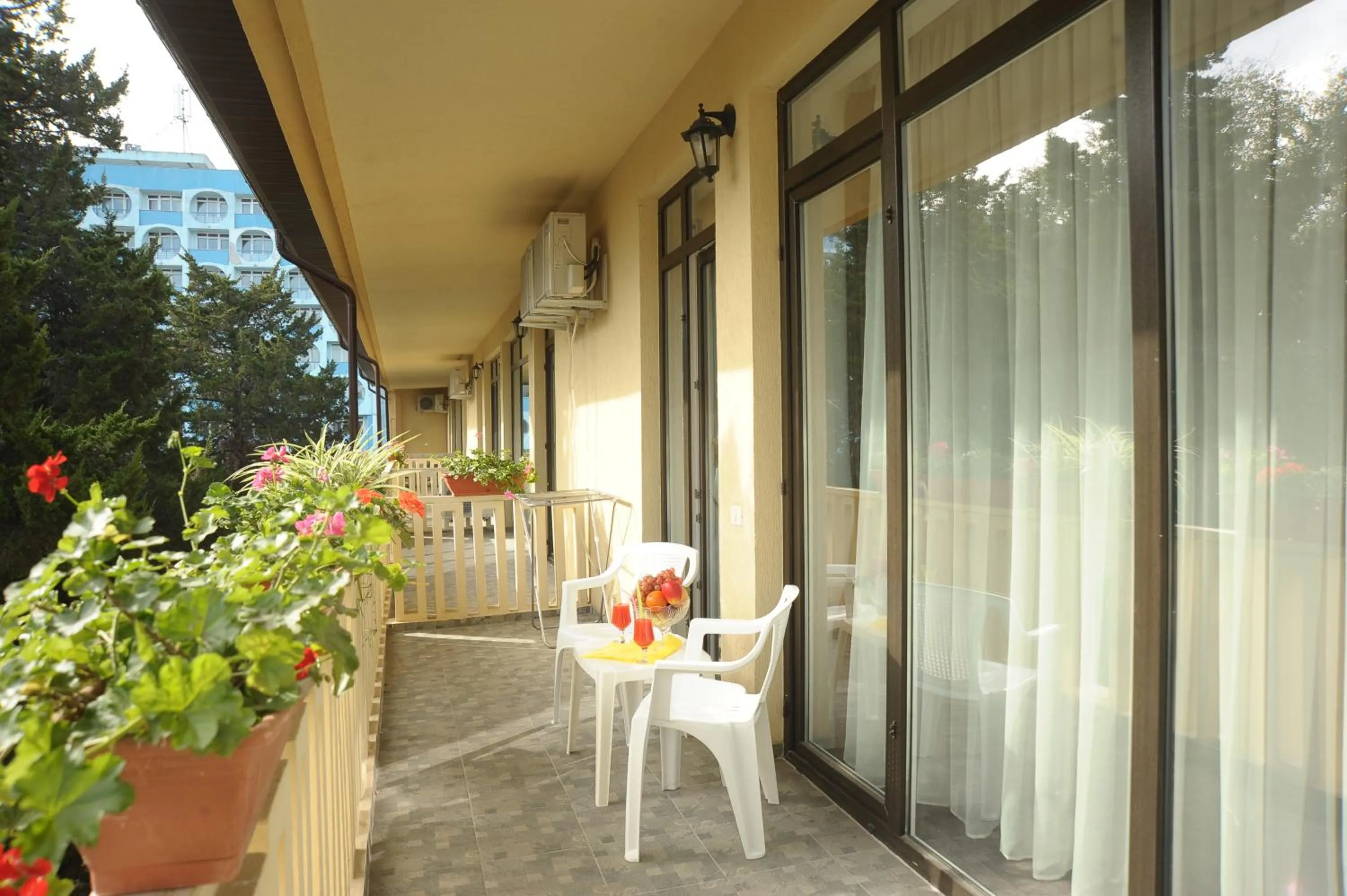 Balcony/Terrace in Hotel Pinguin