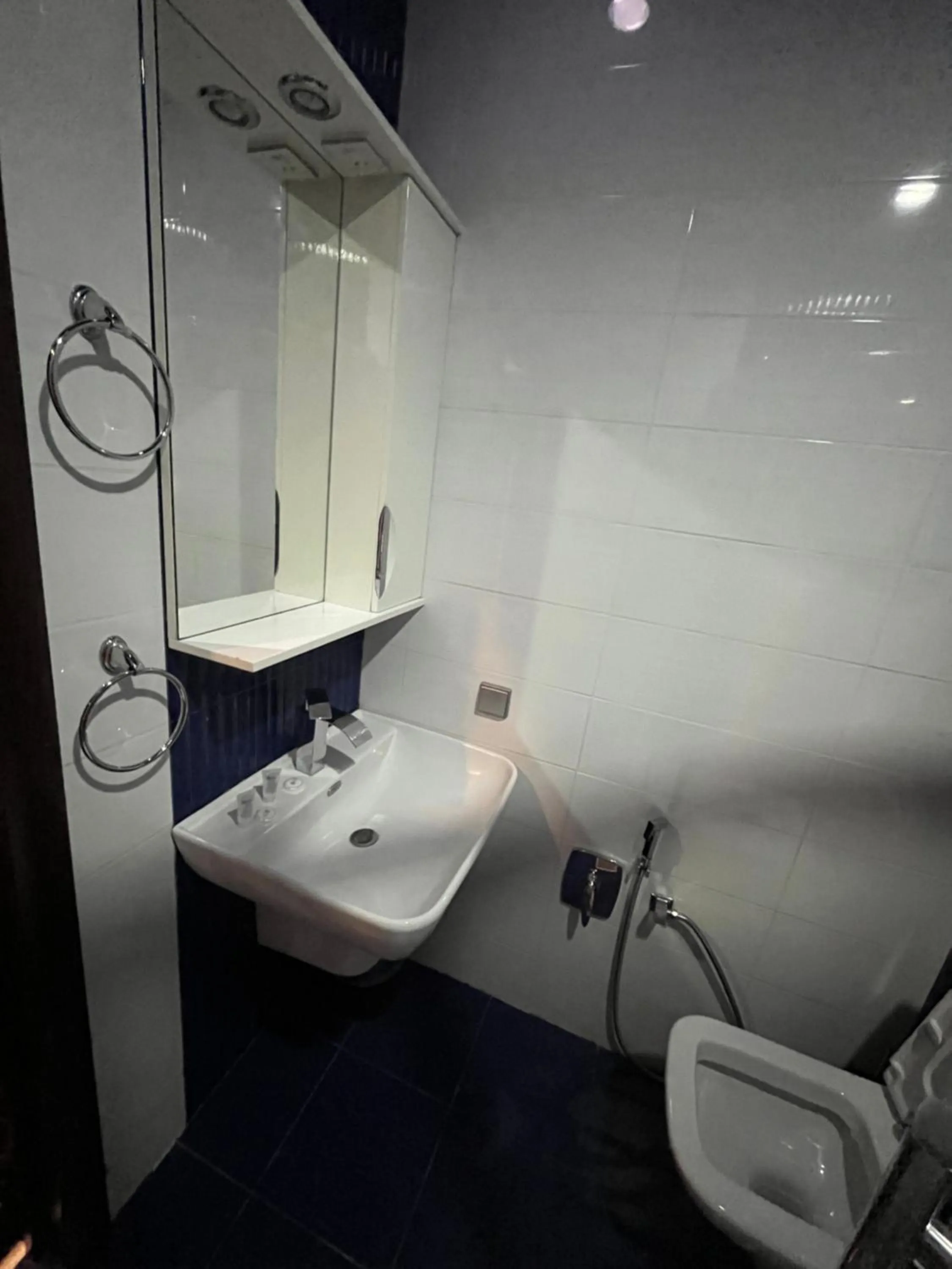 Shower in HOTEL NEW ROYAL