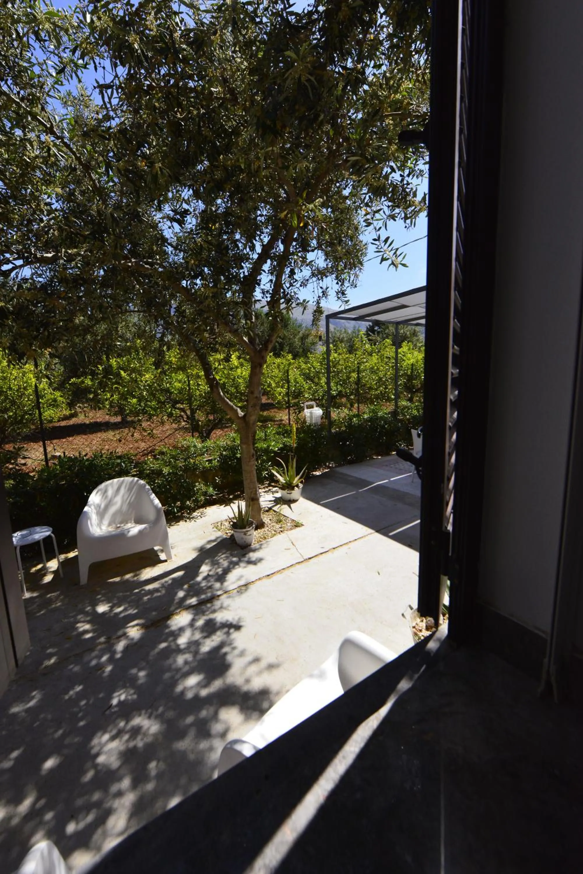 Garden view in Miss Sicily B&B