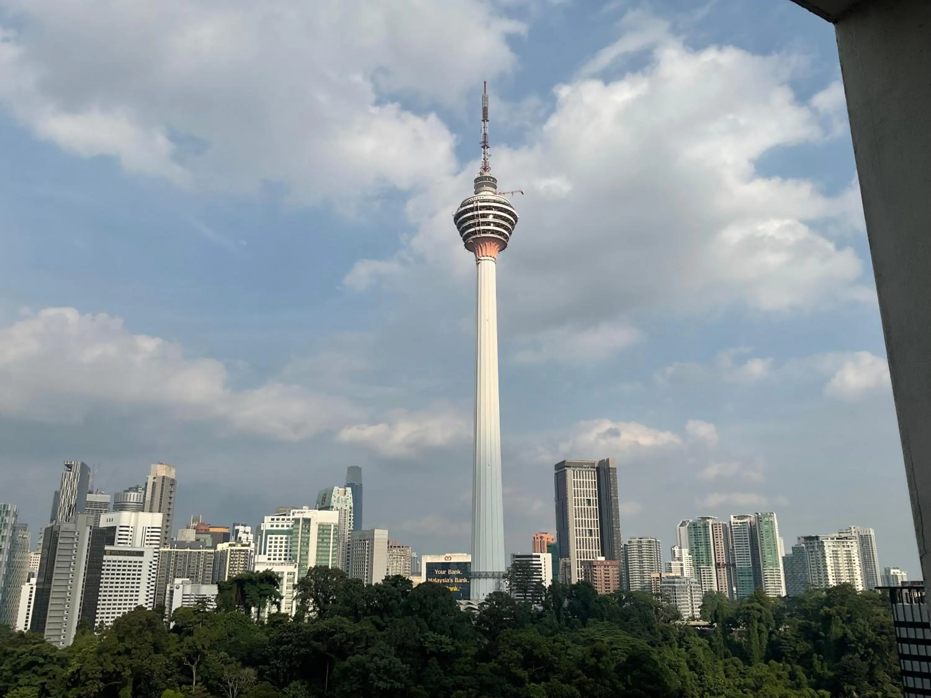 Red M101 by Oak Tree