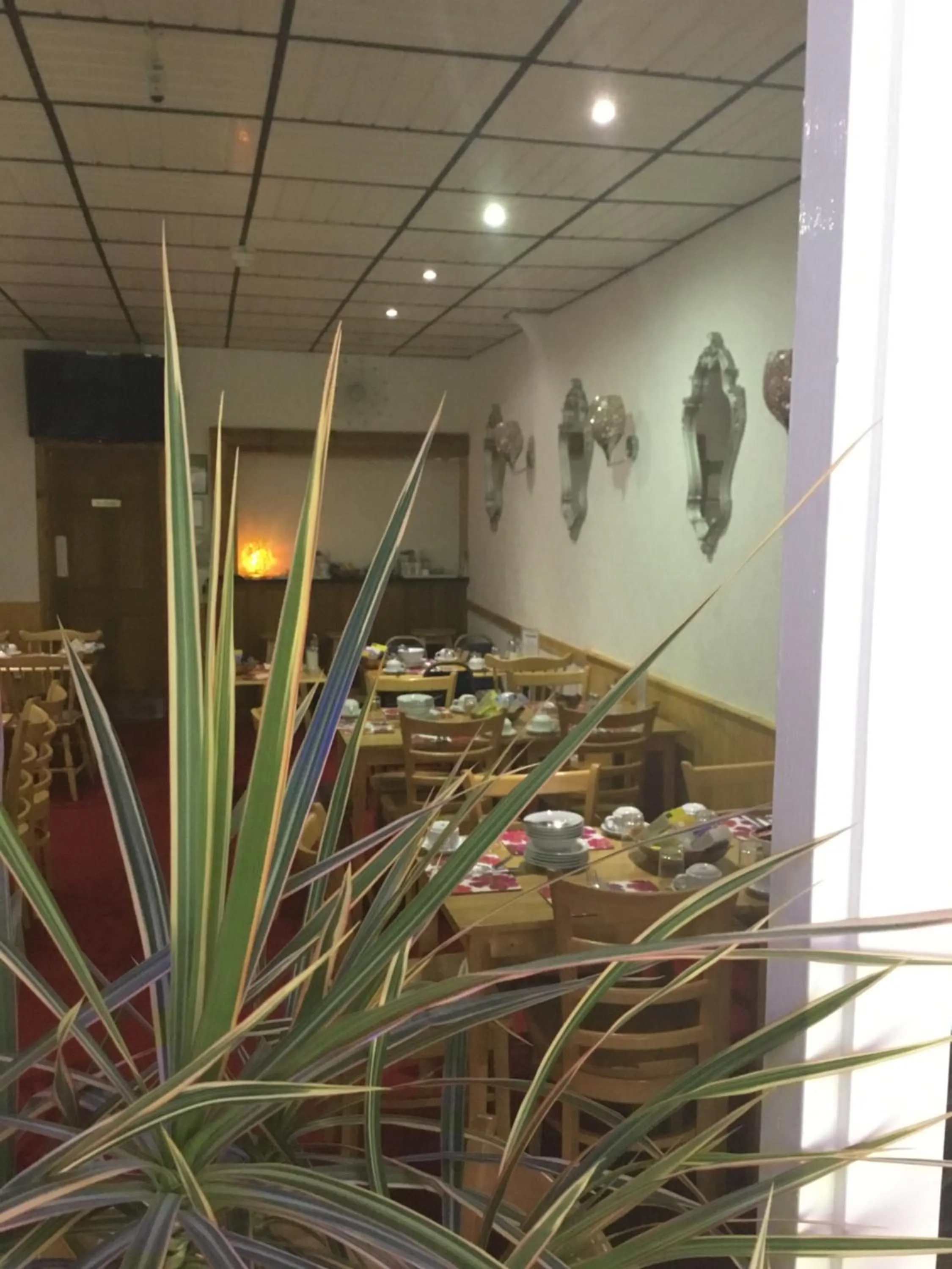 Food and drinks in The Danescourt