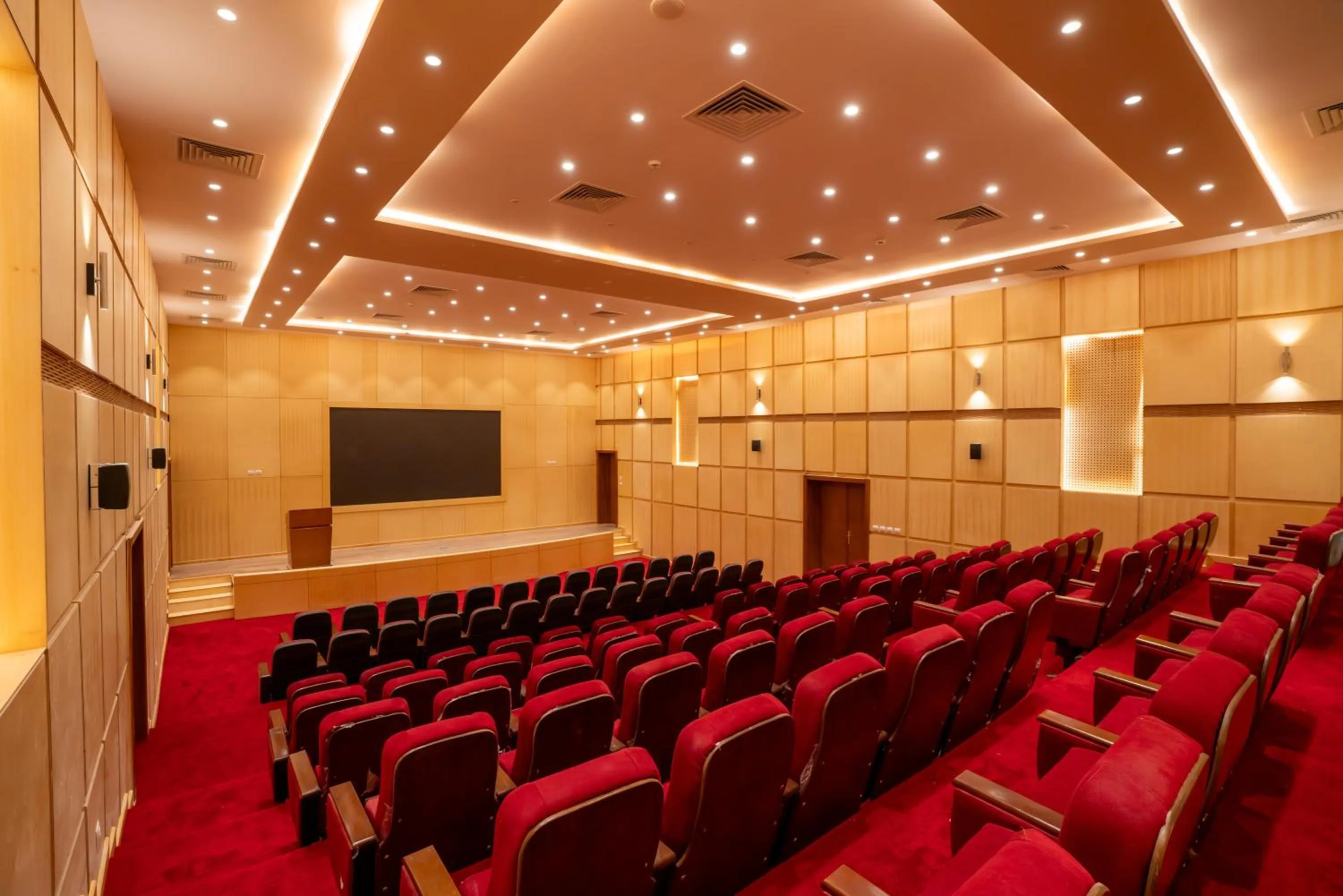 TV and multimedia in Azal Lagoons Resort Abu Simbel