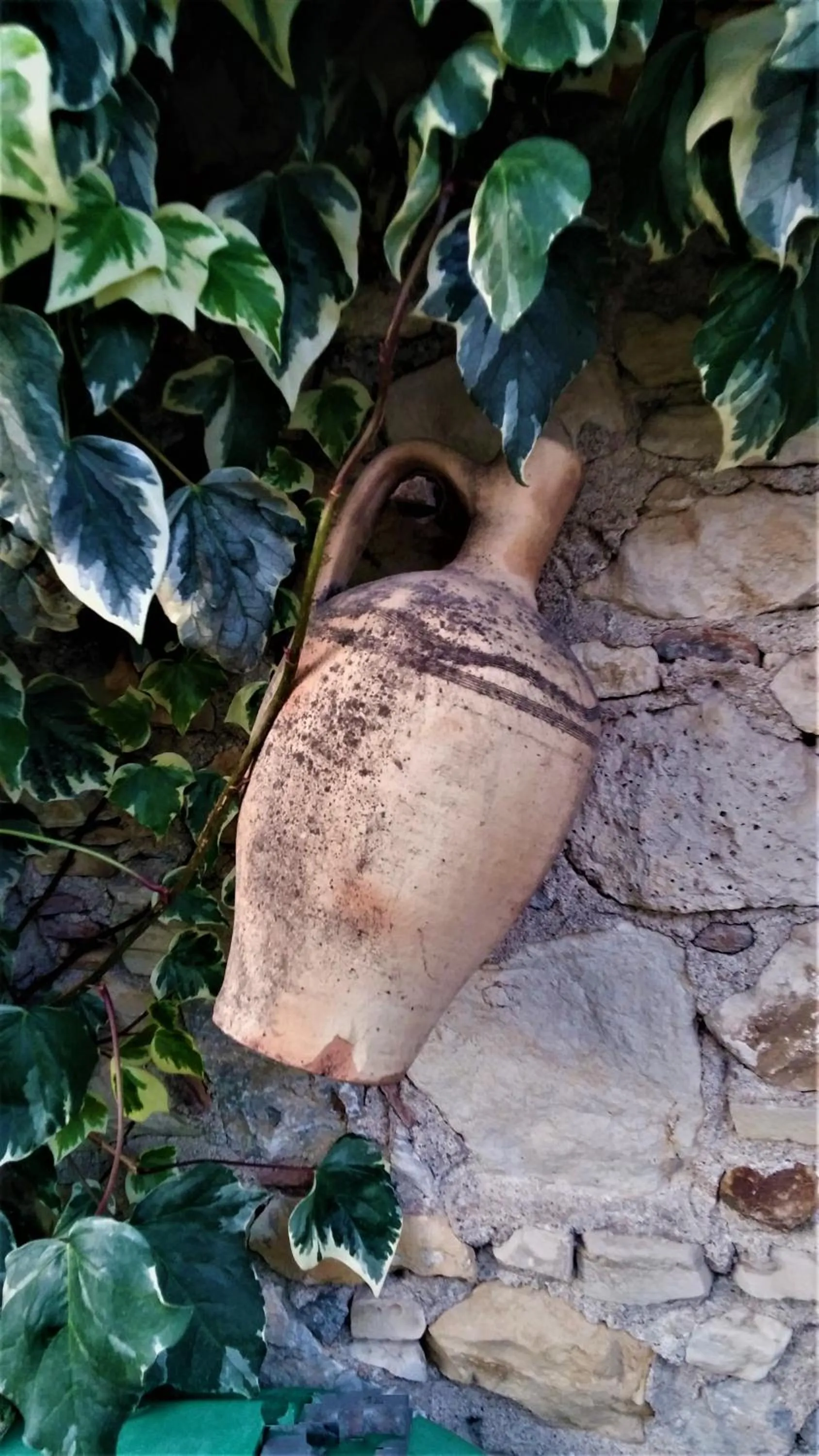 Garden in Garden Palace Boutique Hotel