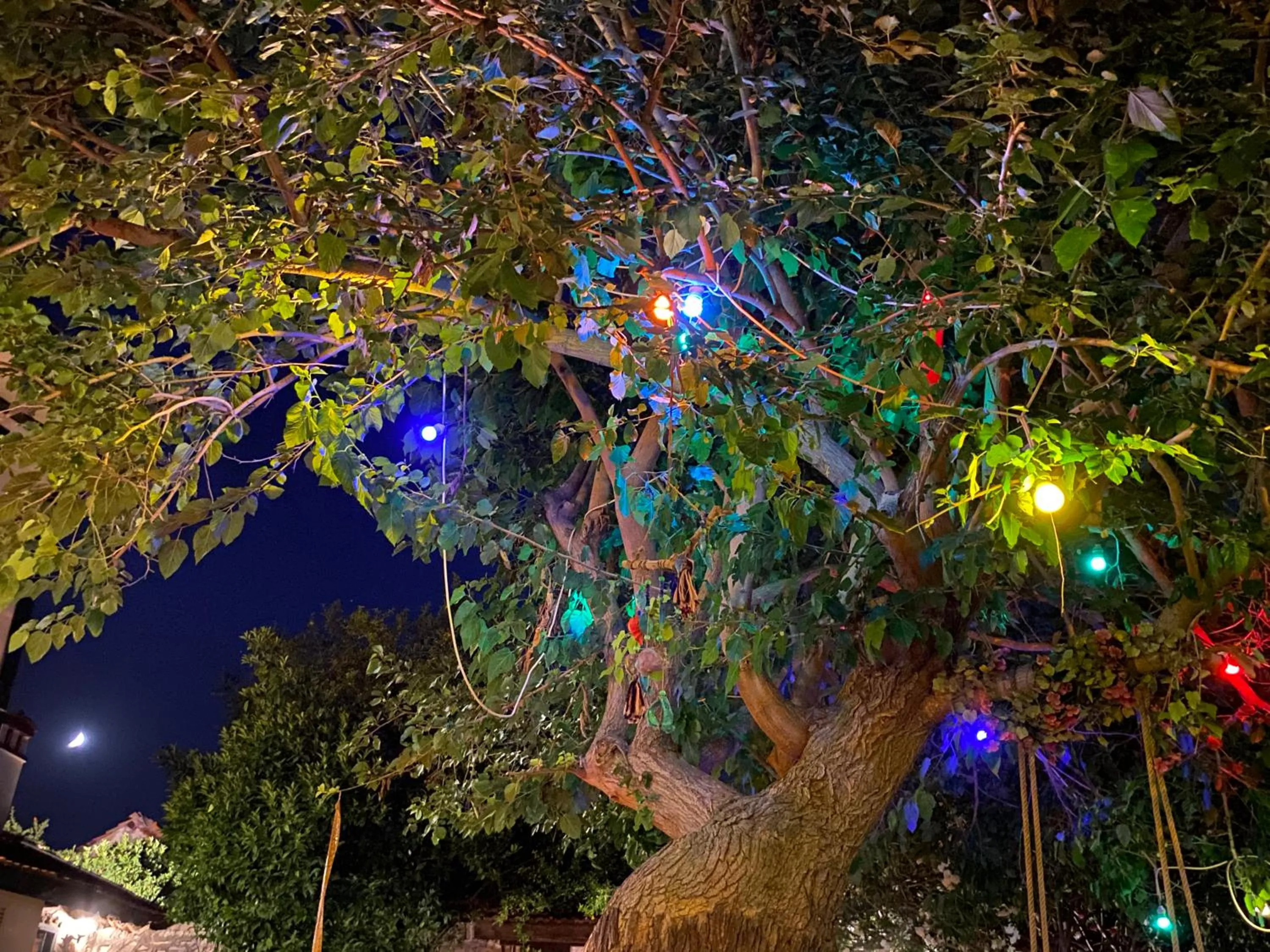 Night in Garden Palace Boutique Hotel