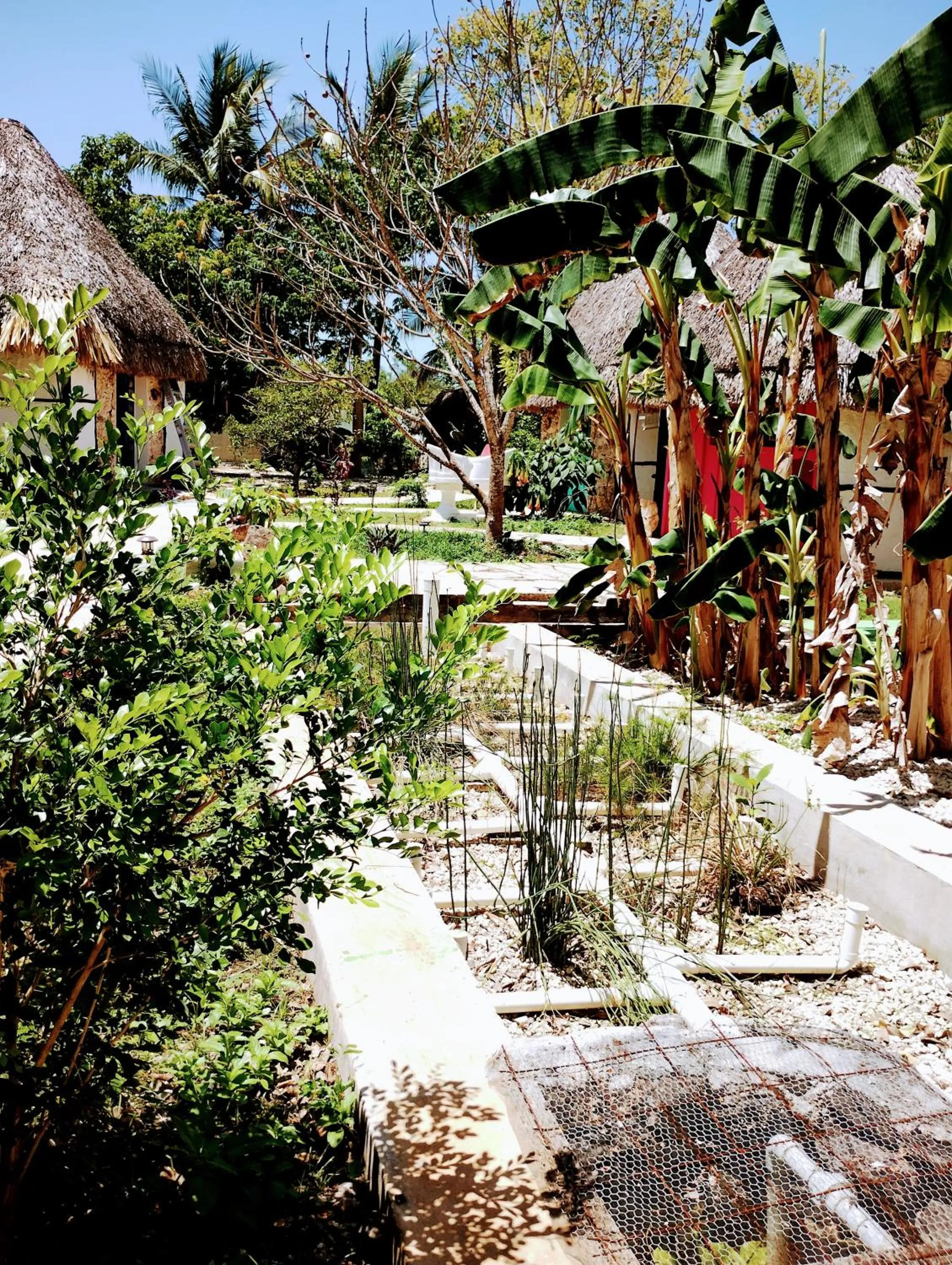 Hotel y Museo Aldea Maya Toktli Orígenes - All Village, Alberca, Wifi Starlink, Tour Museo