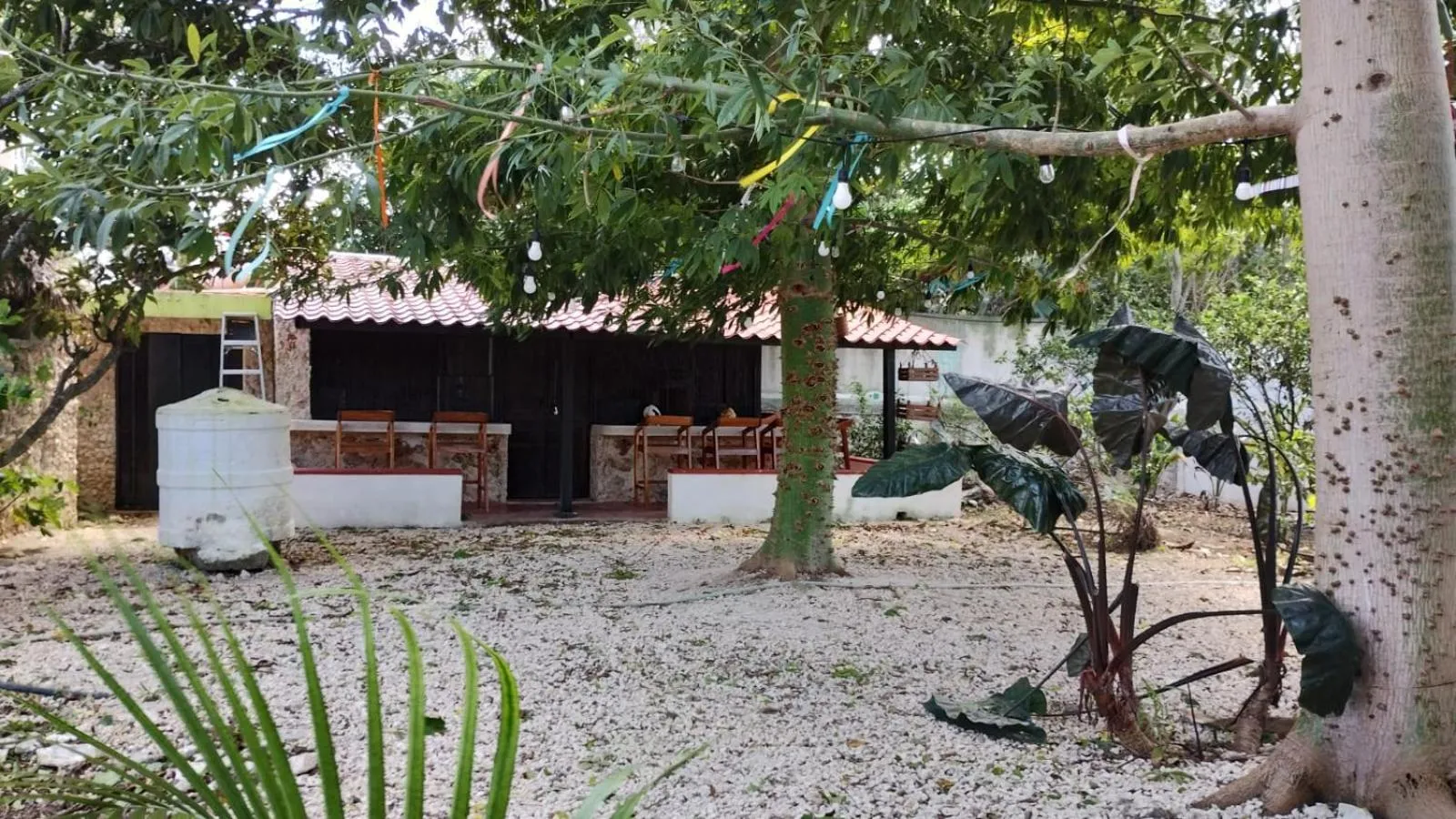 Hotel y Museo Aldea Maya Toktli Orígenes - All Village, Alberca, Wifi Starlink, Tour Museo