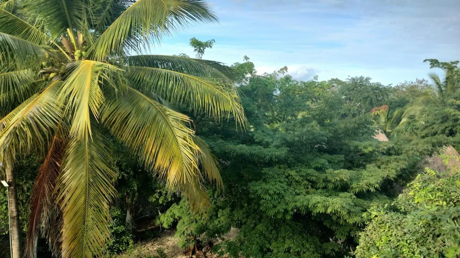 Hotel y Museo Aldea Maya Toktli Orígenes - All Village, Alberca, Wifi Starlink, Tour Museo