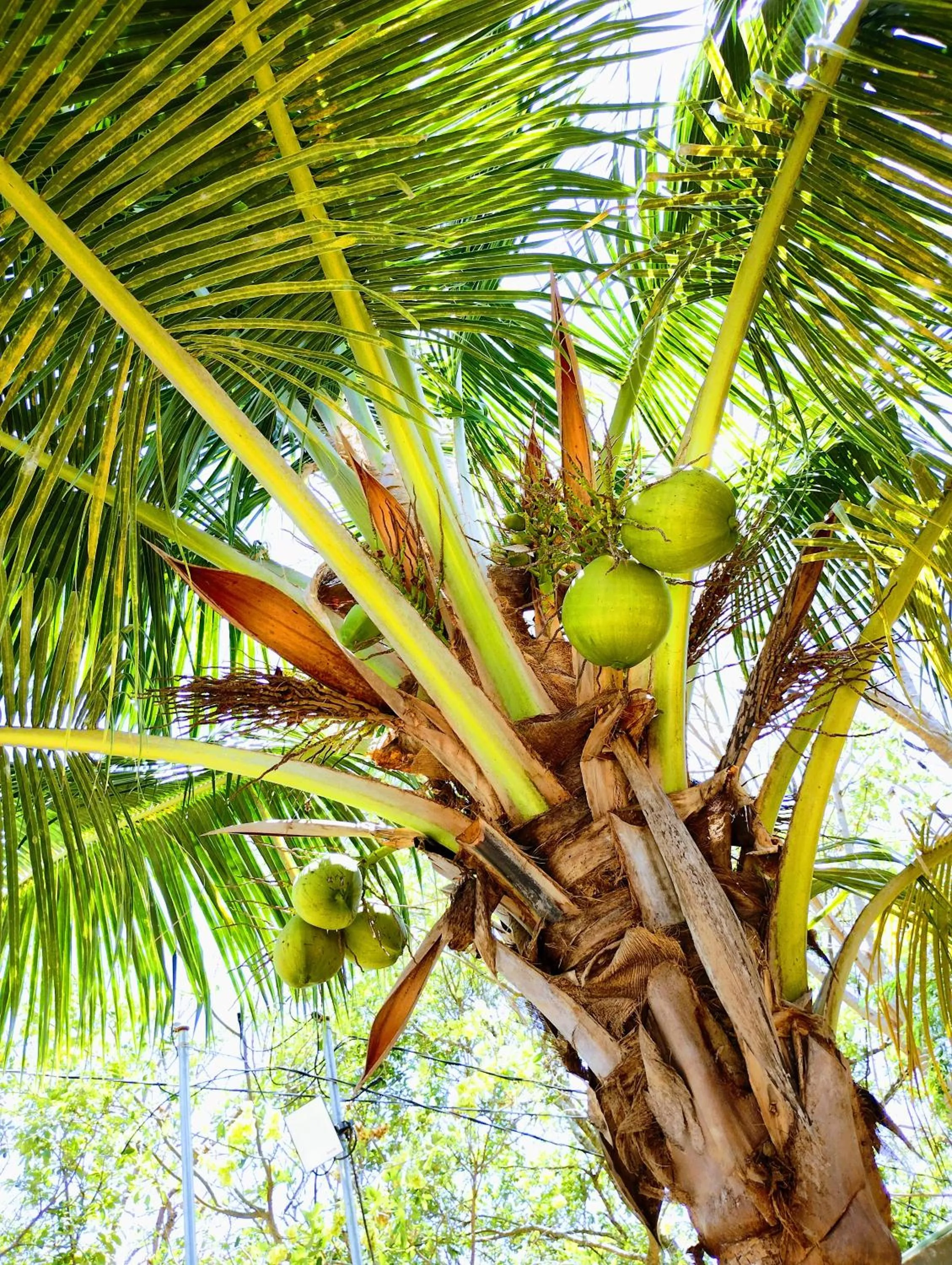 Hotel y Museo Aldea Maya Toktli Orígenes - All Village, Alberca, Wifi Starlink, Tour Museo