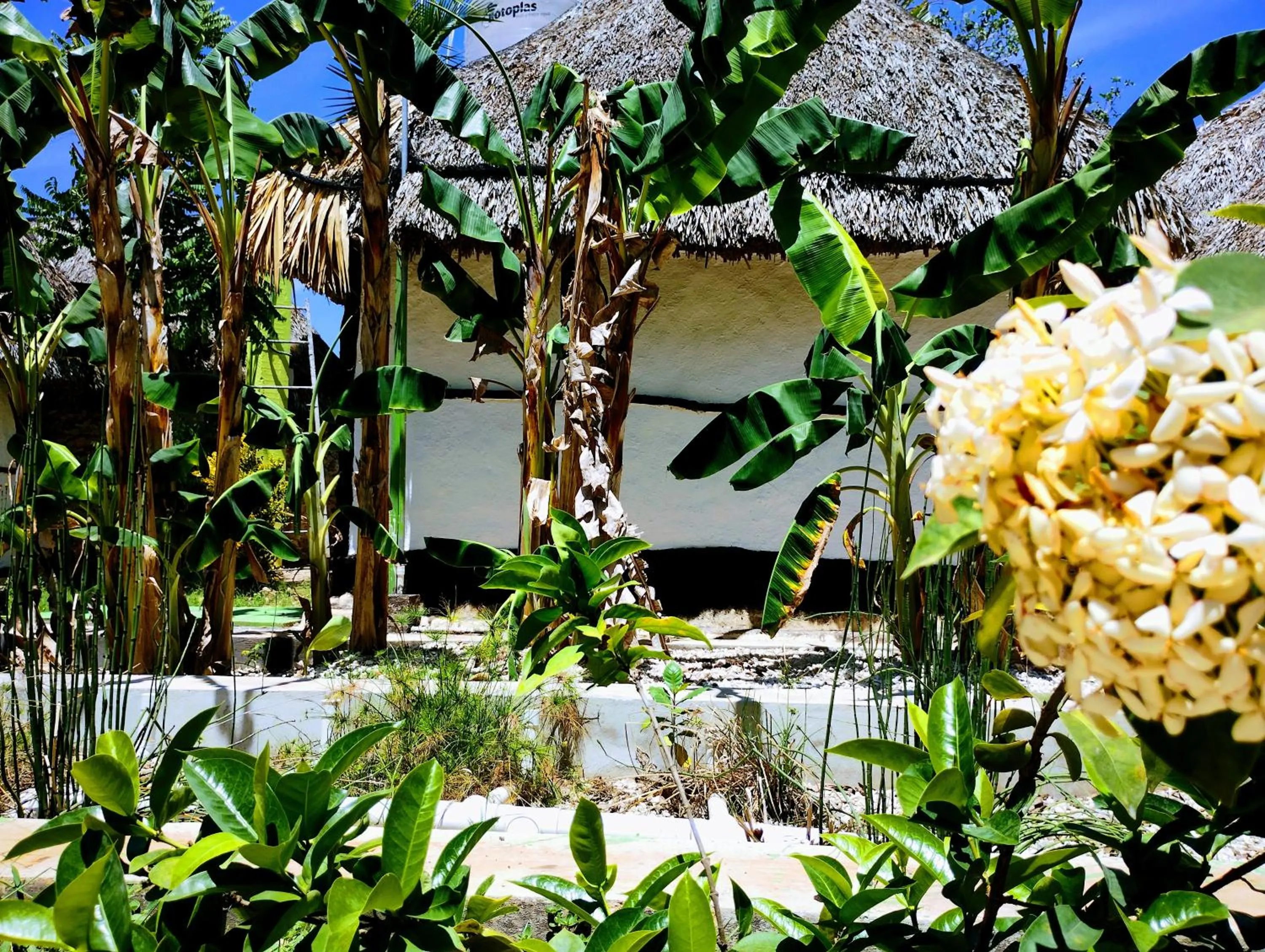 Hotel y Museo Aldea Maya Toktli Orígenes - All Village, Alberca, Wifi Starlink, Tour Museo