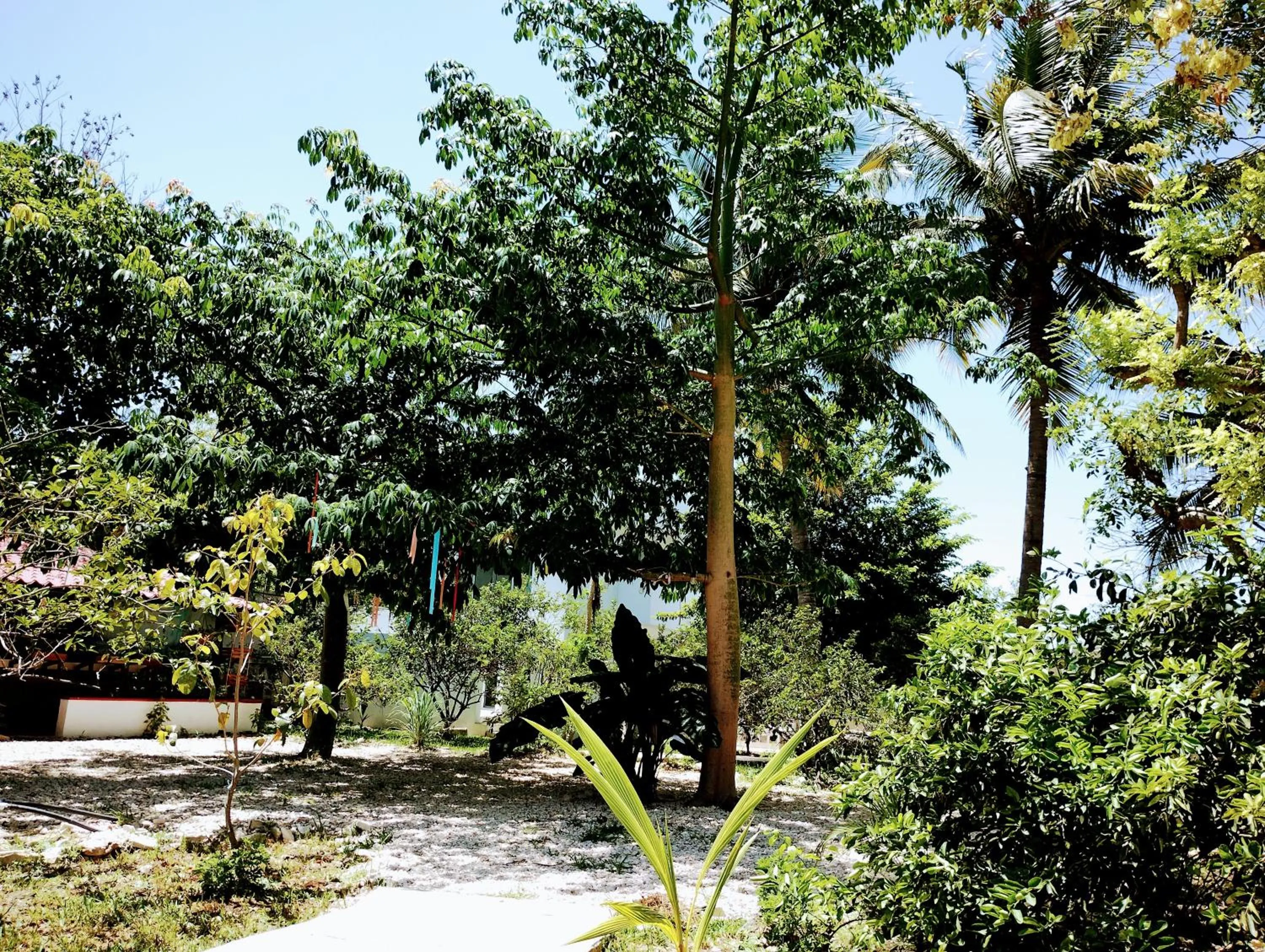 Garden in Hotel y Museo Aldea Maya Toktli Orígenes - All Village, Alberca, Wifi Starlink, Tour Museo