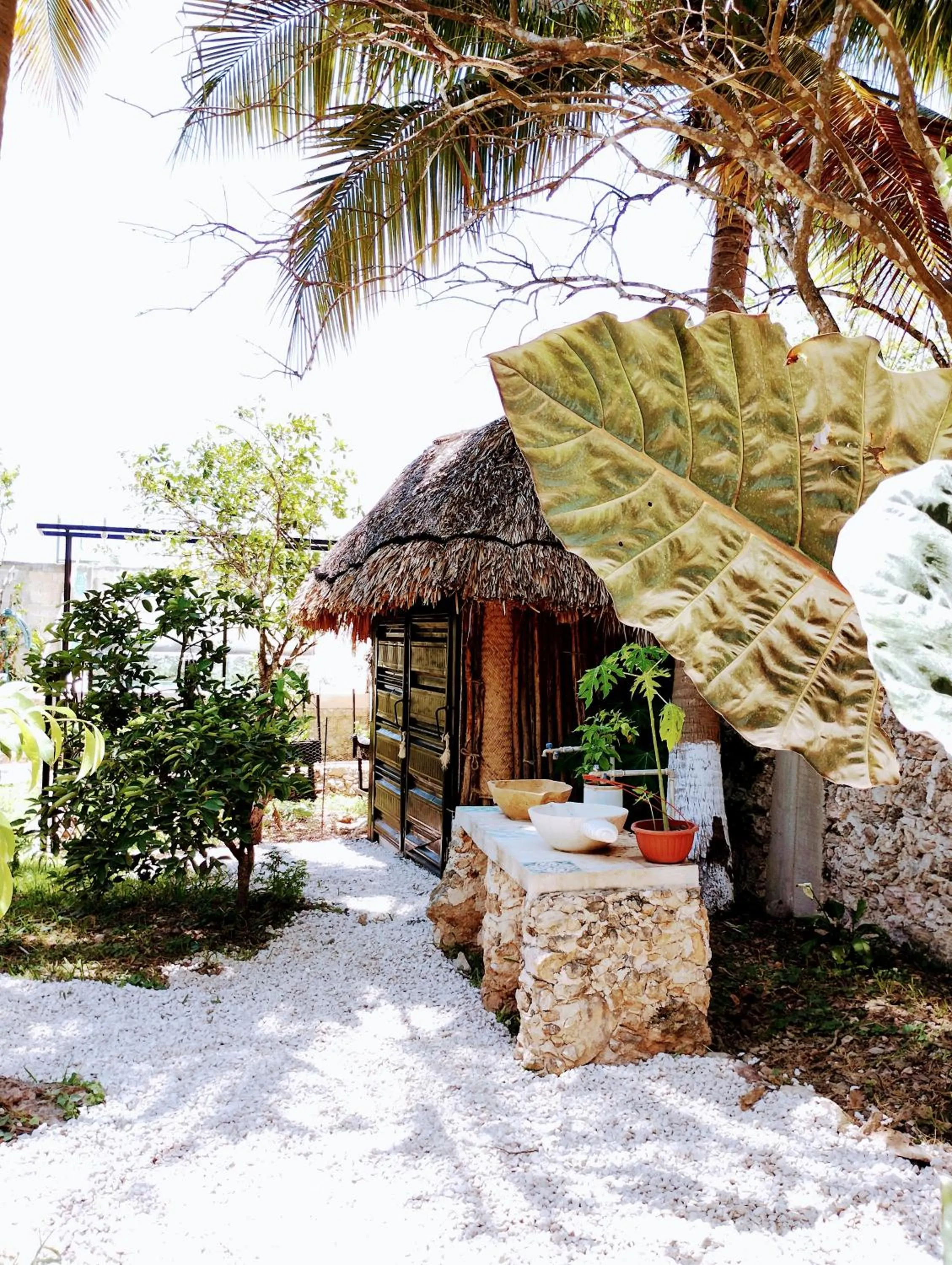 Hotel y Museo Aldea Maya Toktli Orígenes - All Village, Alberca, Wifi Starlink, Tour Museo