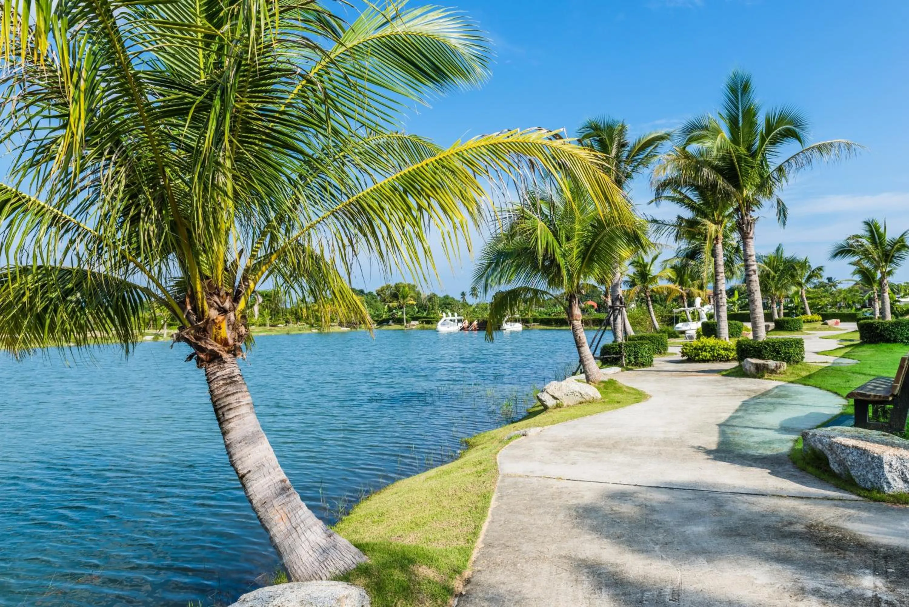 Garden in Chalong Miracle Lakeview